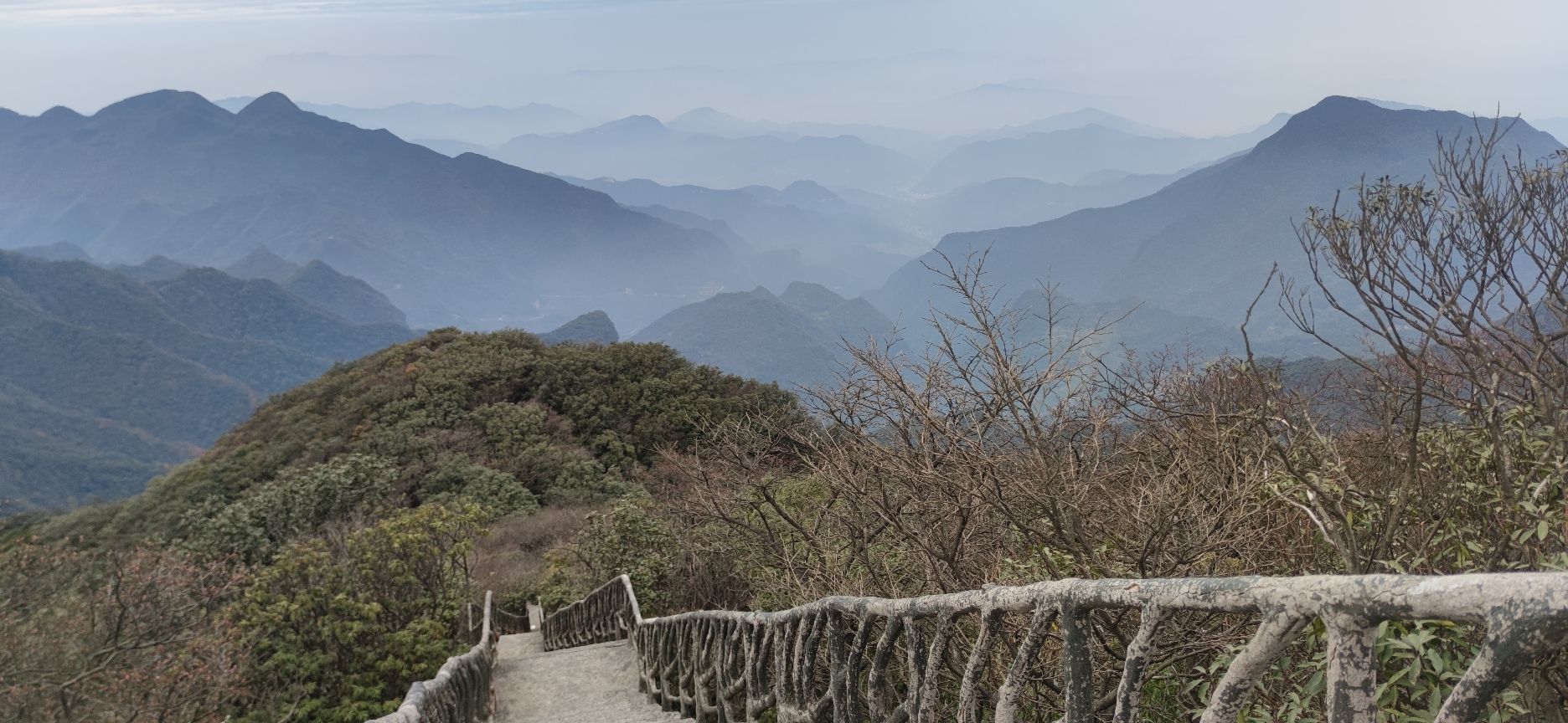 金佛山国家风景名胜区旅行图片 3