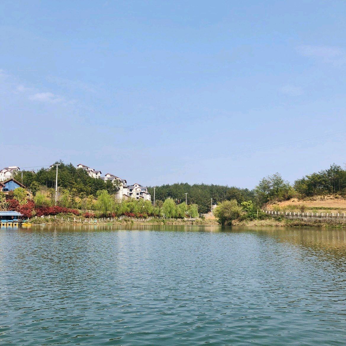 天鹅湖风景区旅行图片 1