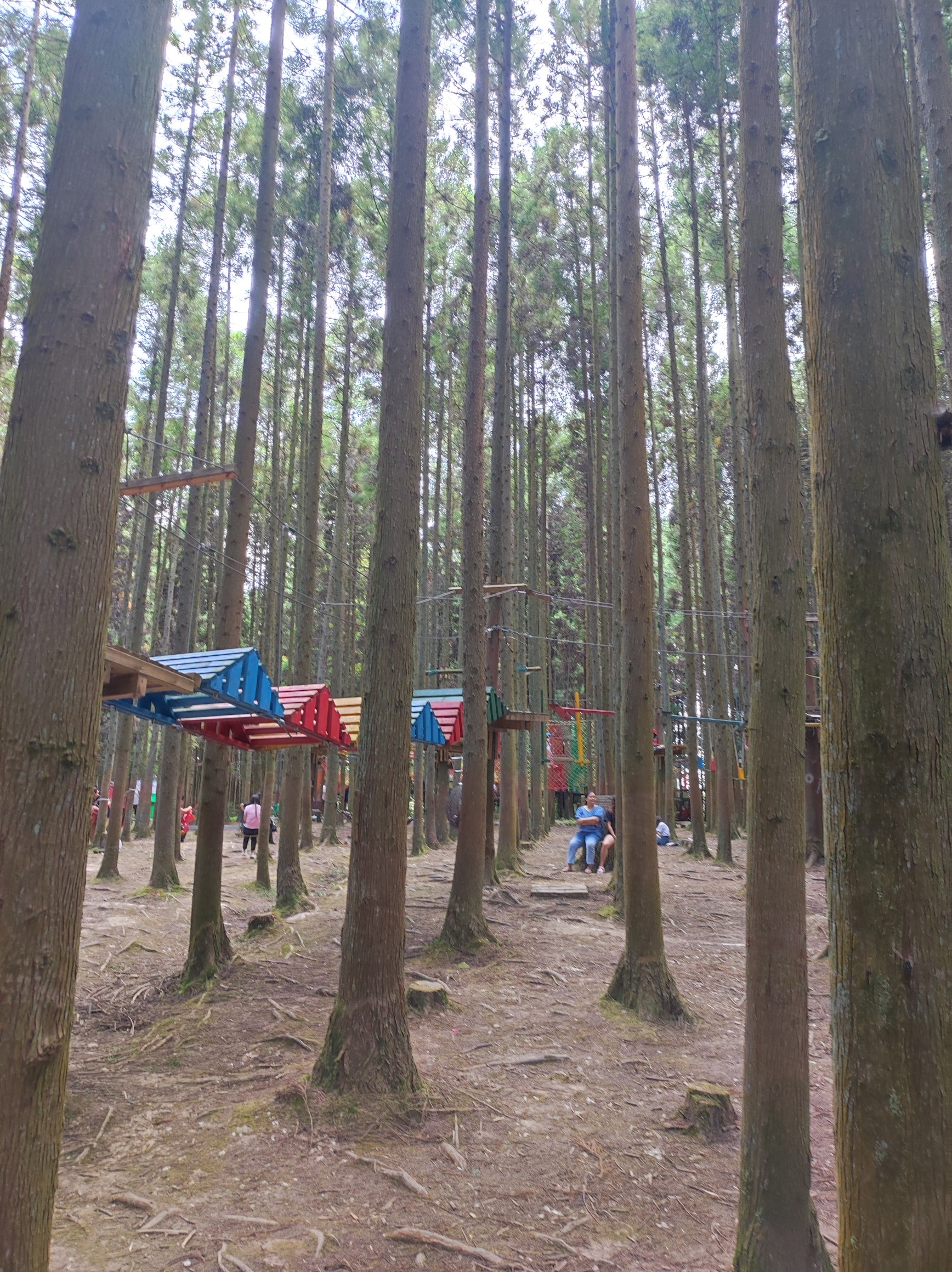 重庆黄水旅游度假区毕兹卡绿宫旅行图片 3