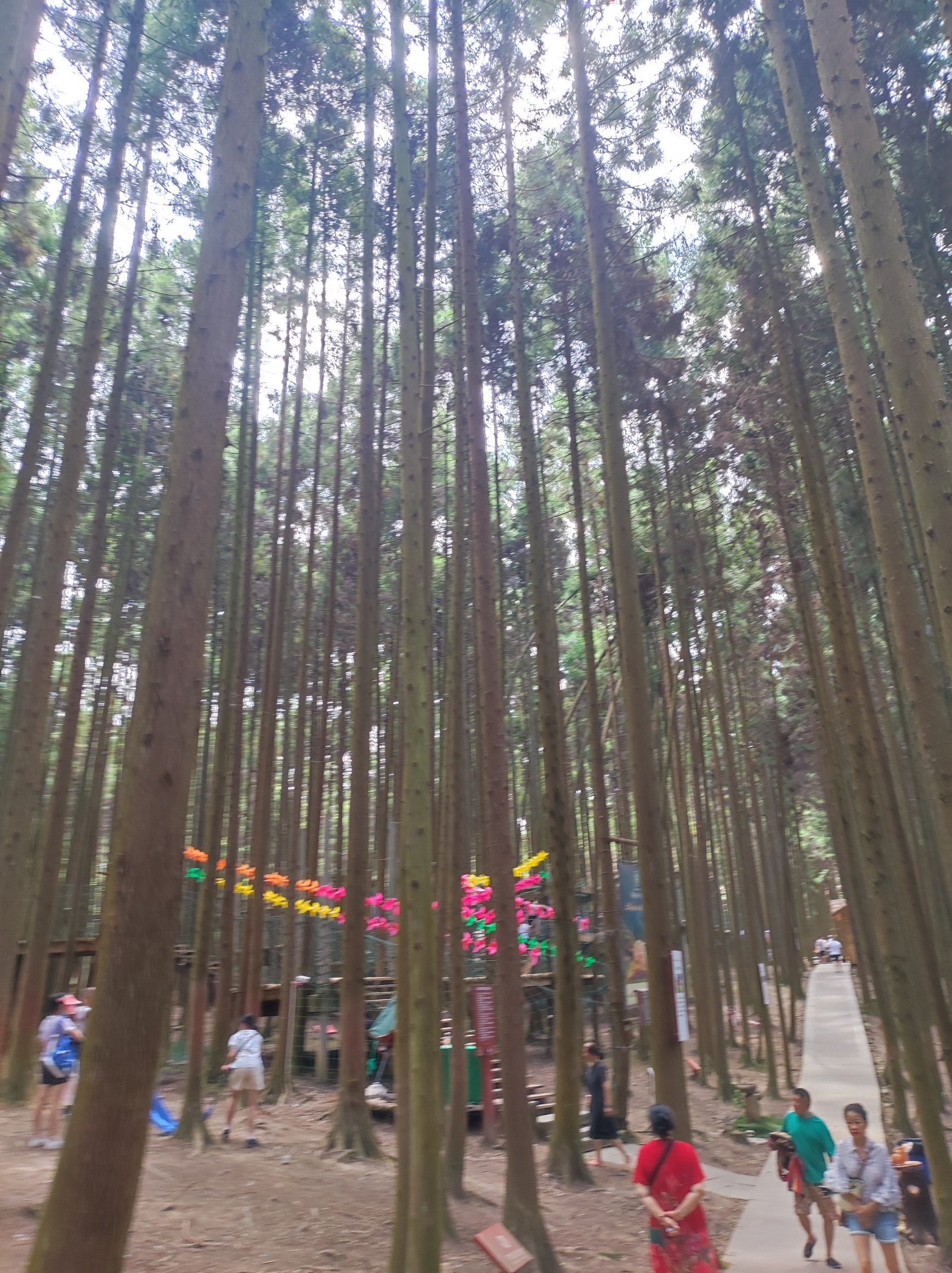 重庆黄水旅游度假区毕兹卡绿宫旅行图片 2