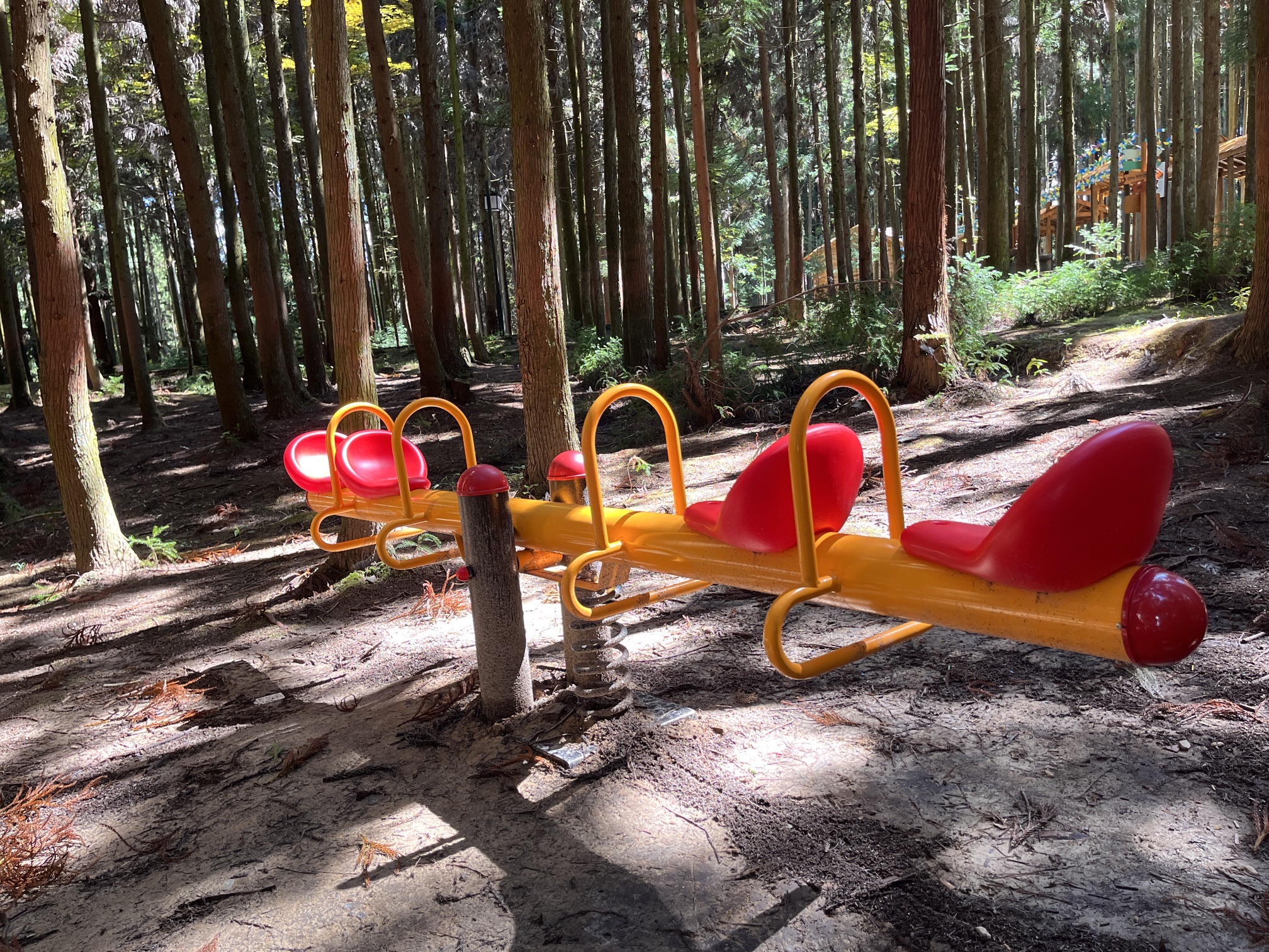 重庆黄水旅游度假区毕兹卡绿宫旅行图片 3