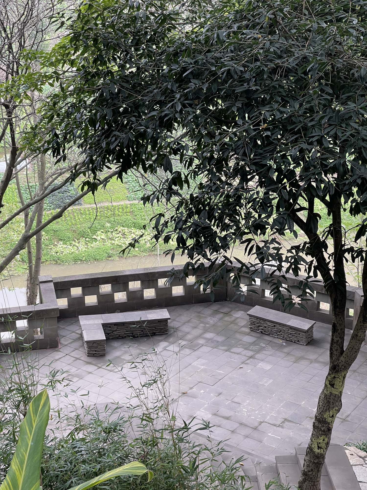 巴南亲水公园旅行图片 2