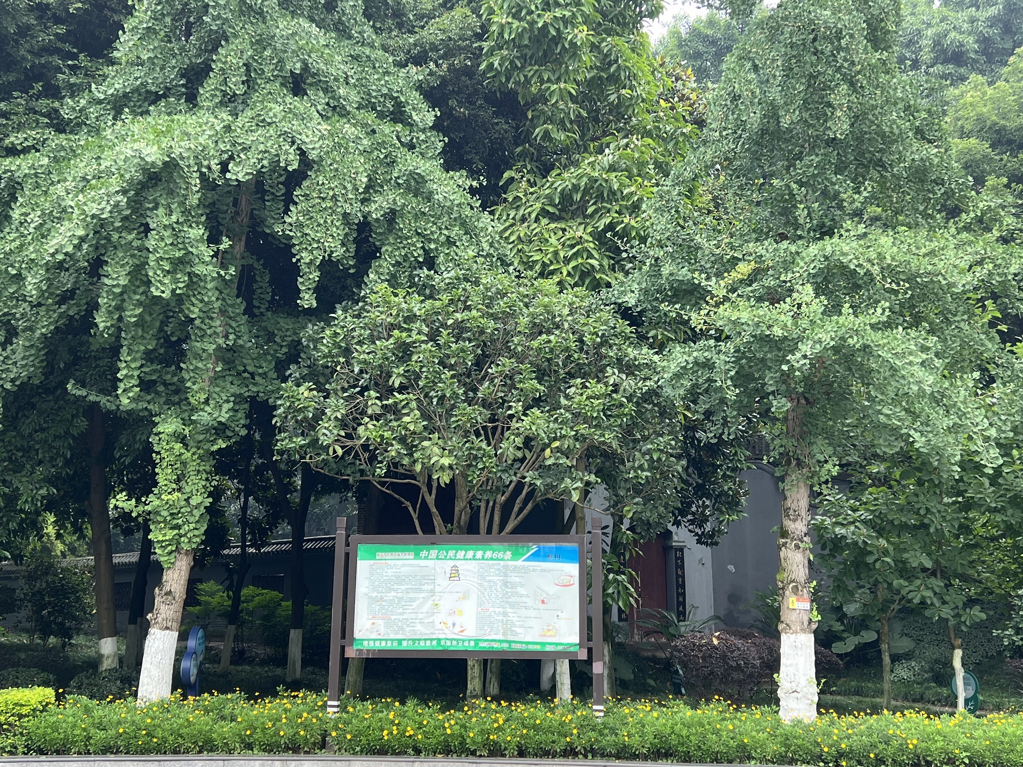老街公园旅行图片 3