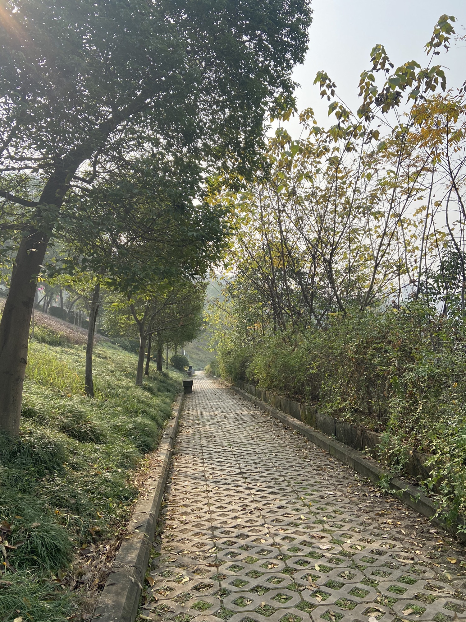 老街公园旅行图片 1
