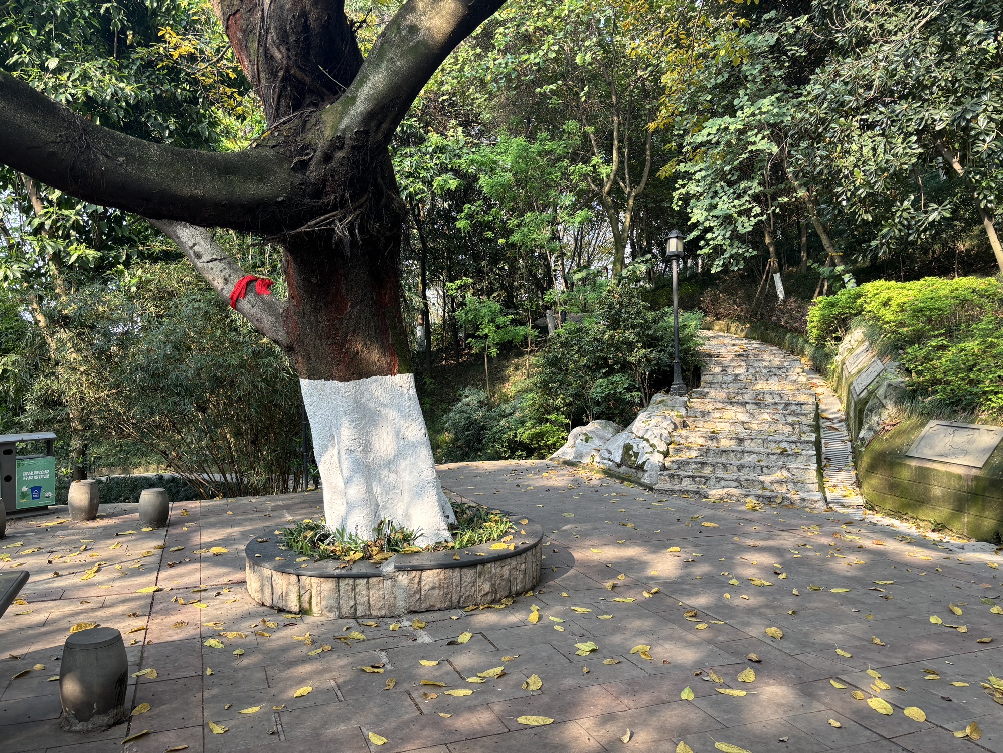 老街公园旅行图片 3