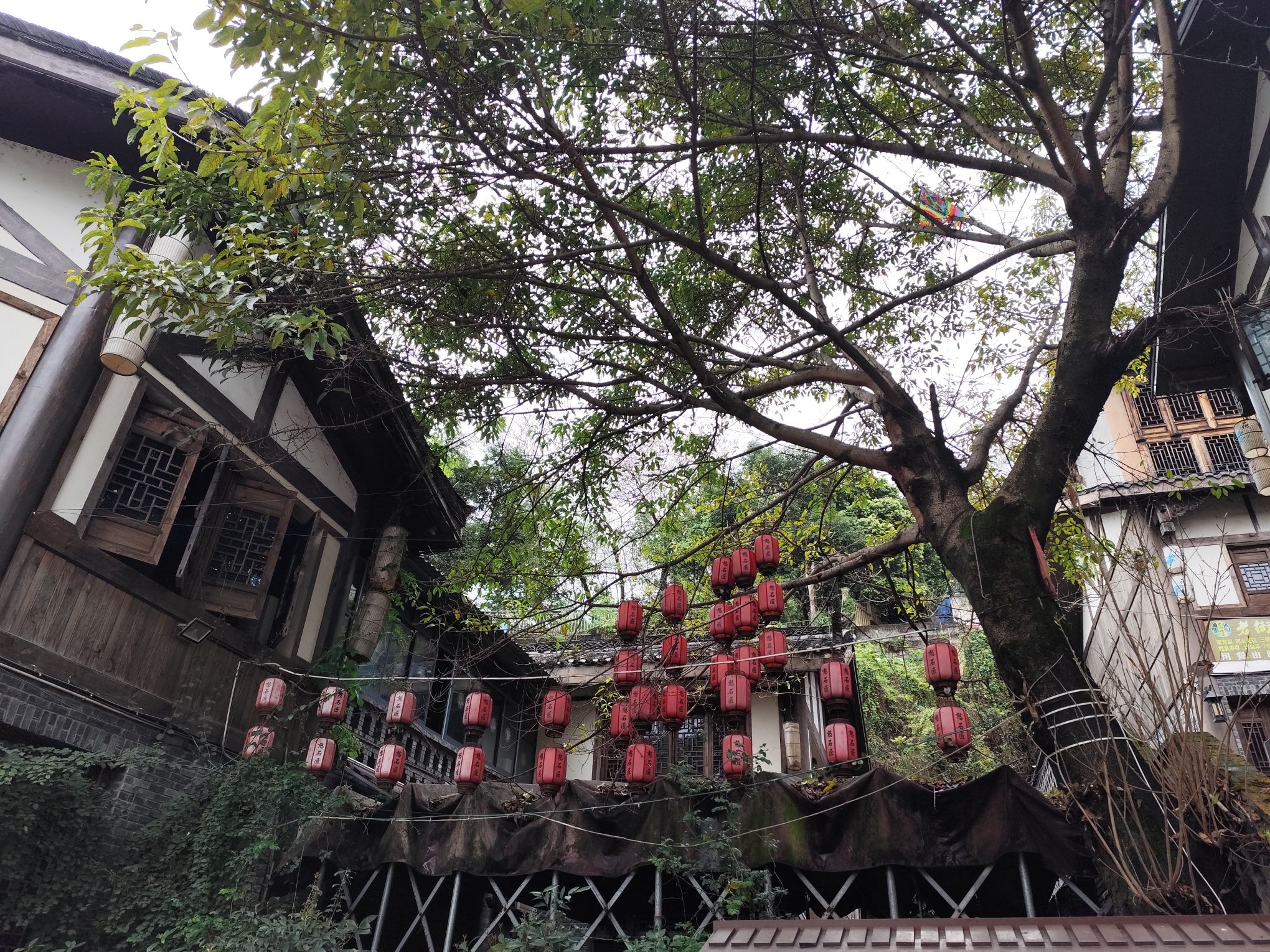 老街公园旅行图片 2