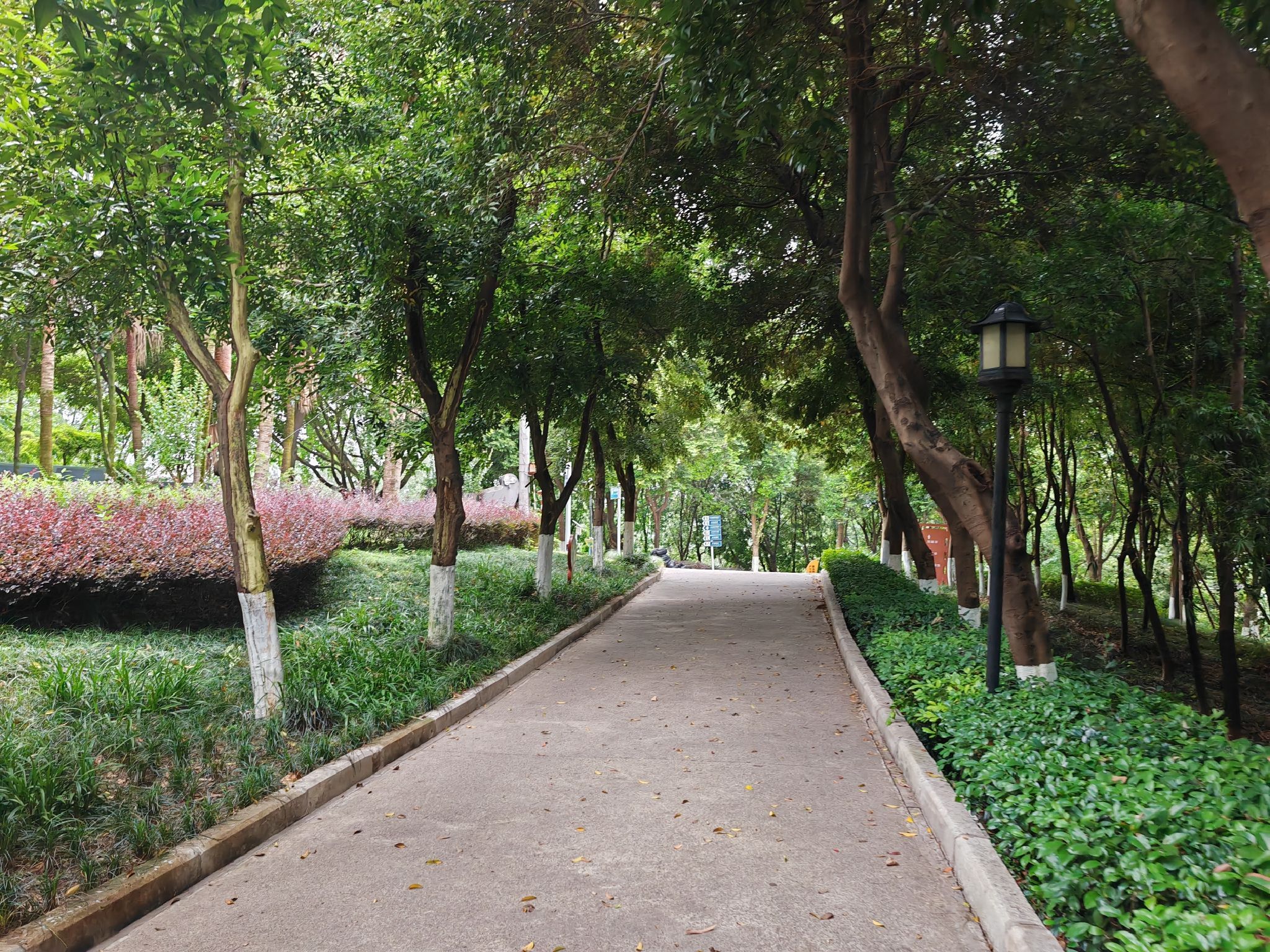 老街公园旅行图片 2