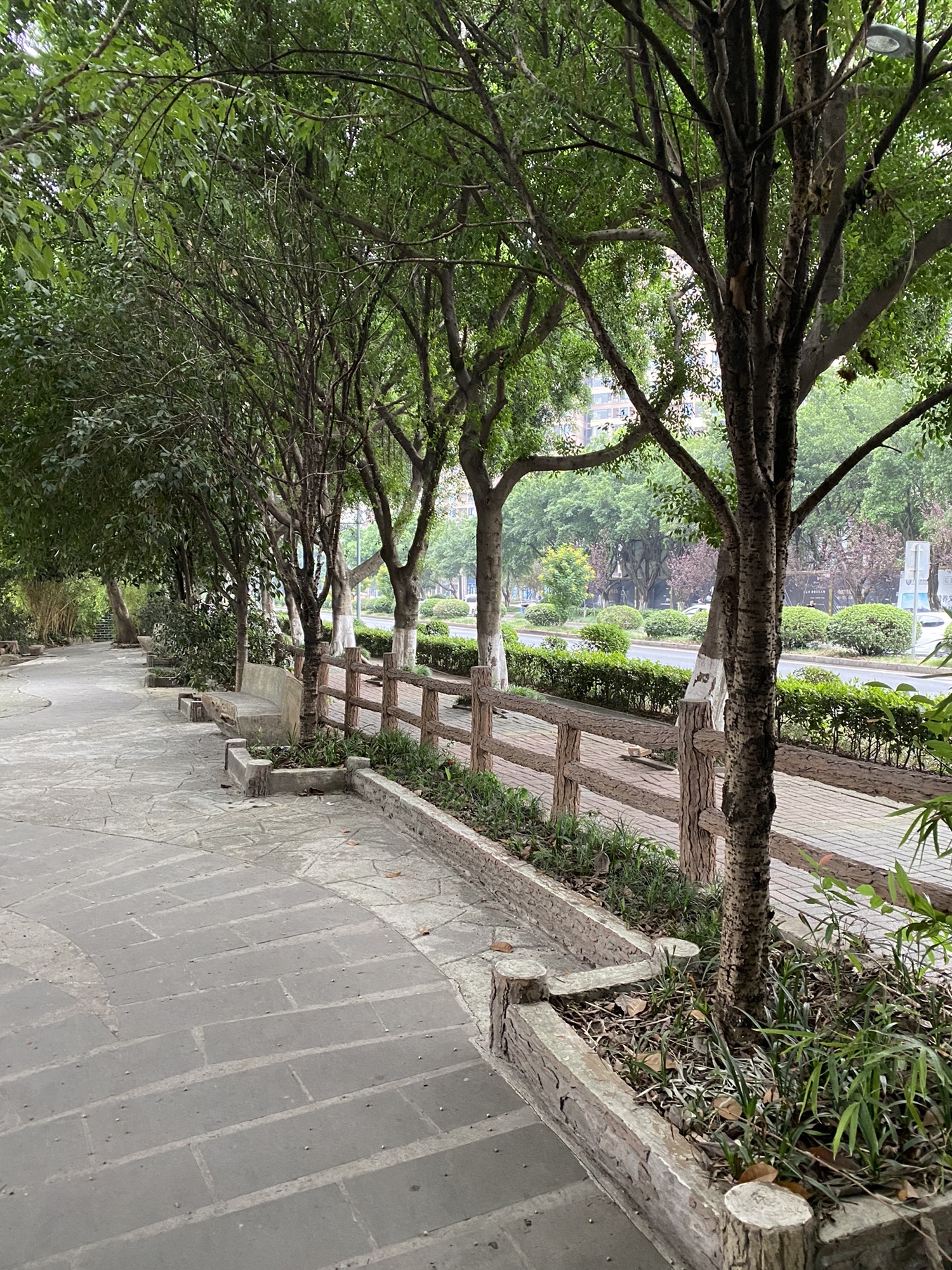 铜滨公园旅行图片 1