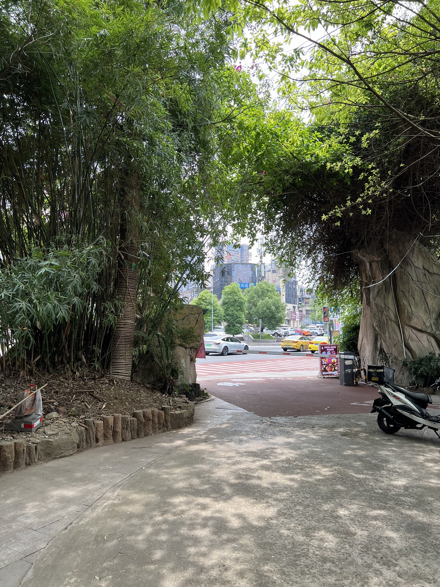 铜滨公园旅行图片 2