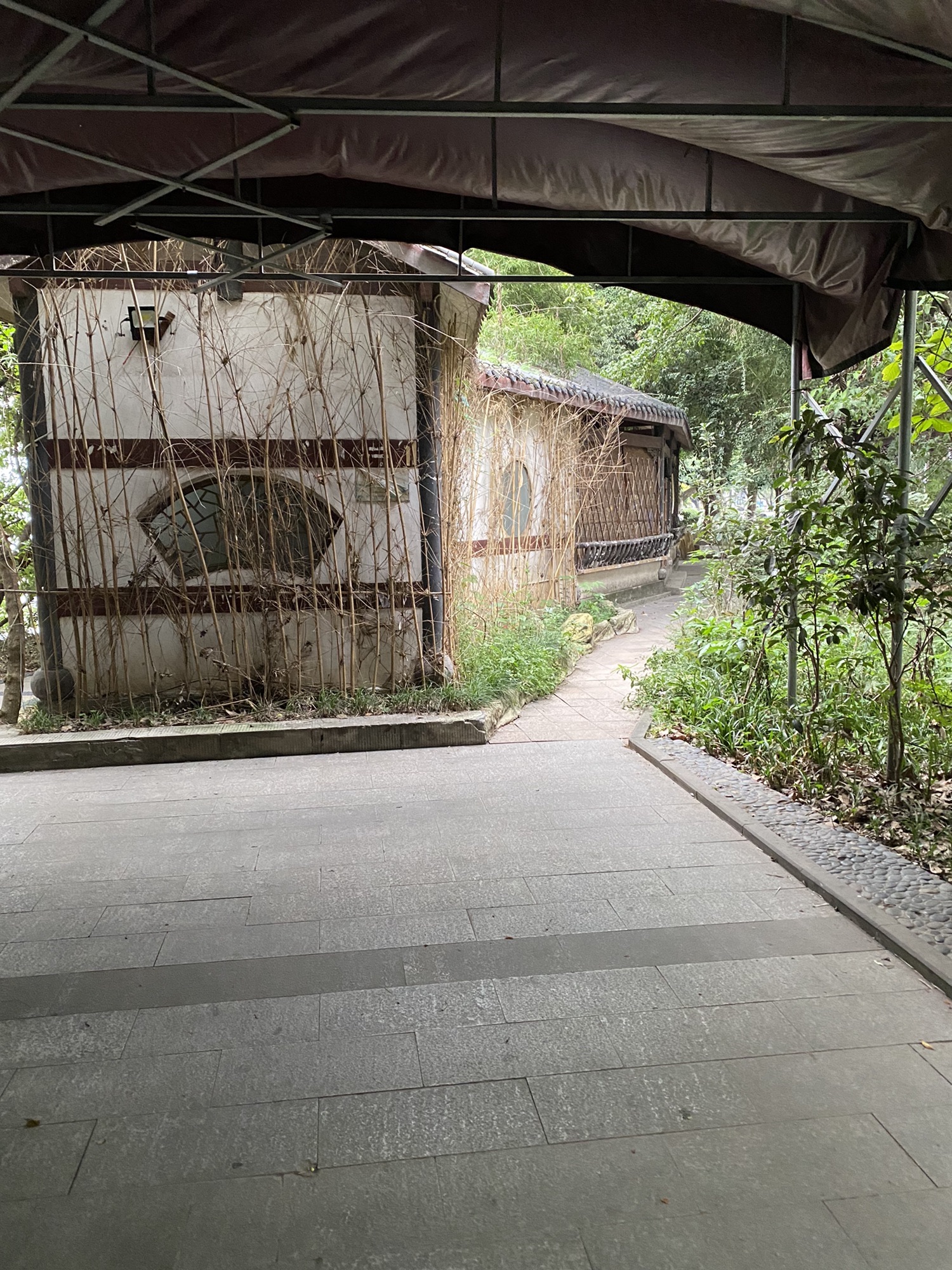铜滨公园旅行图片 3