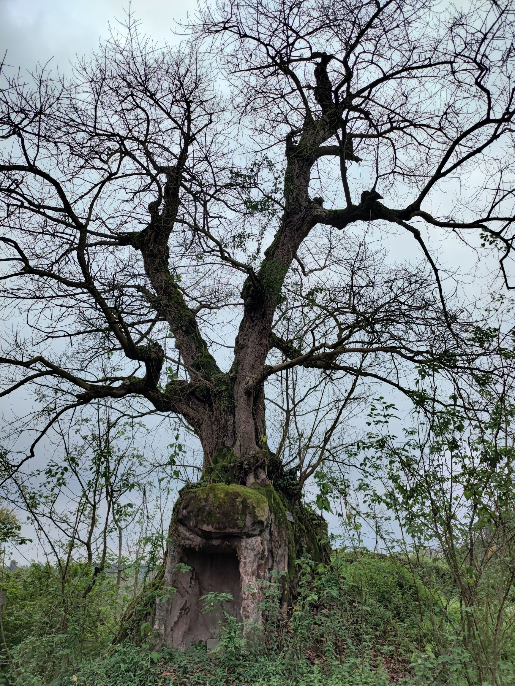 涞滩古镇旅行图片 2