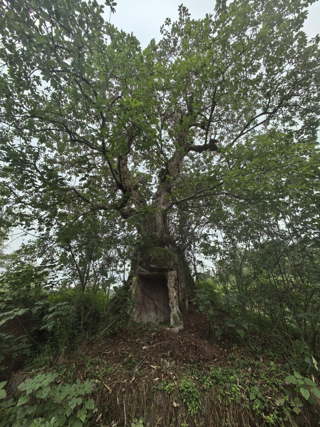 涞滩古镇旅行图片 1