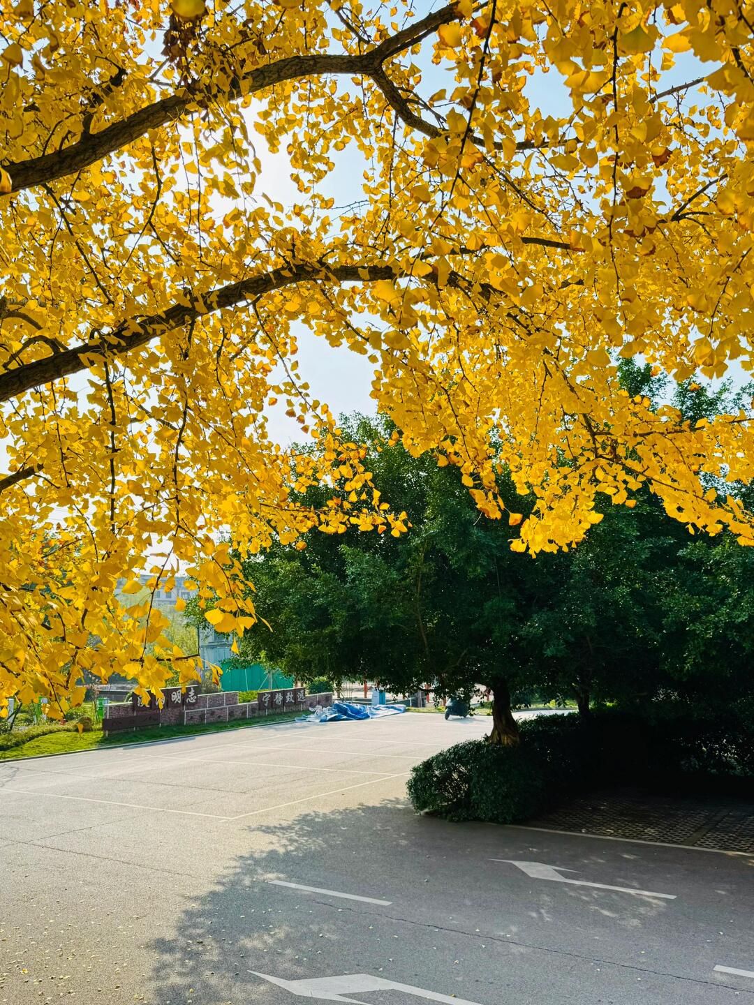 偏岩古镇旅行图片 3