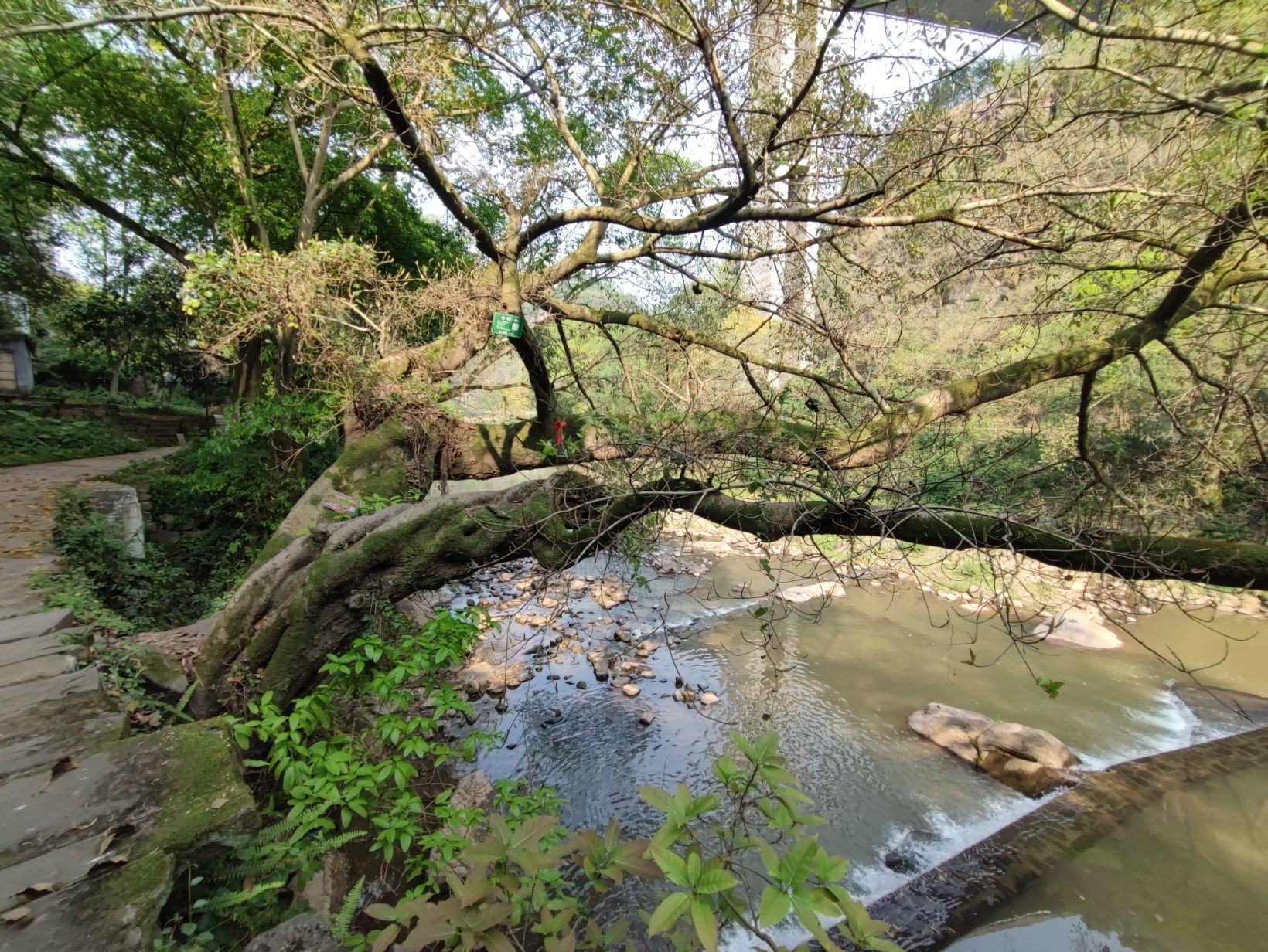 东溪古镇旅行图片 3