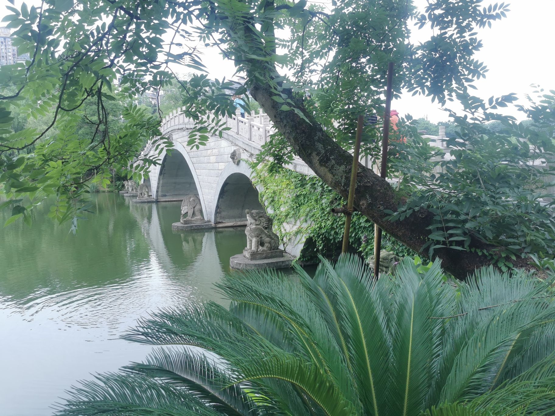 观音塘湿地公园旅行图片 2