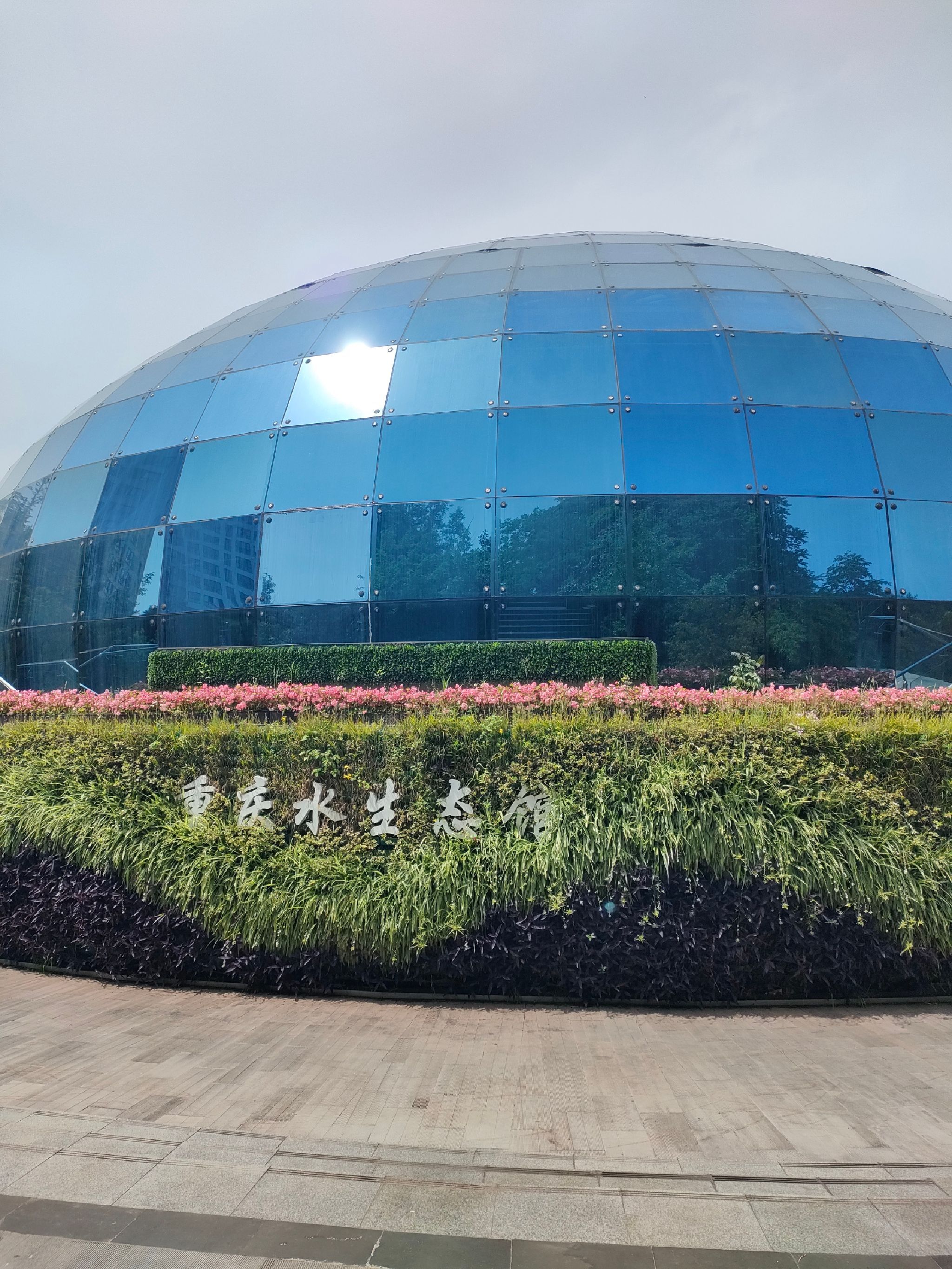 观音塘湿地公园旅行图片 1