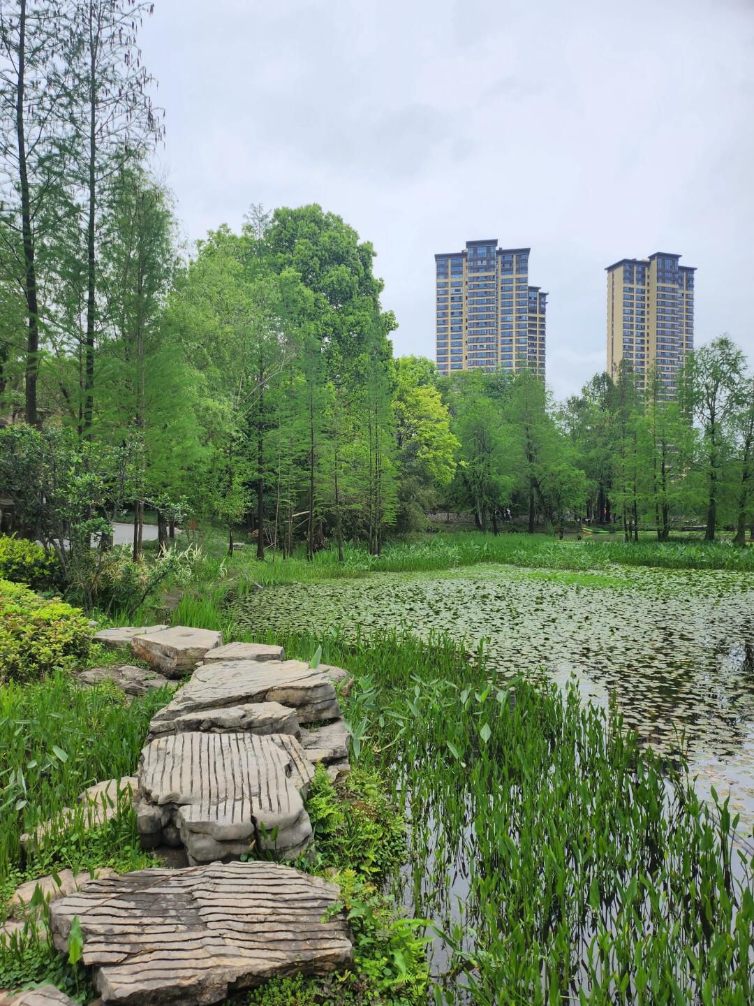 观音塘湿地公园旅行图片 1