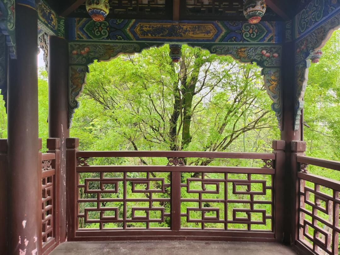 观音塘湿地公园旅行图片 3