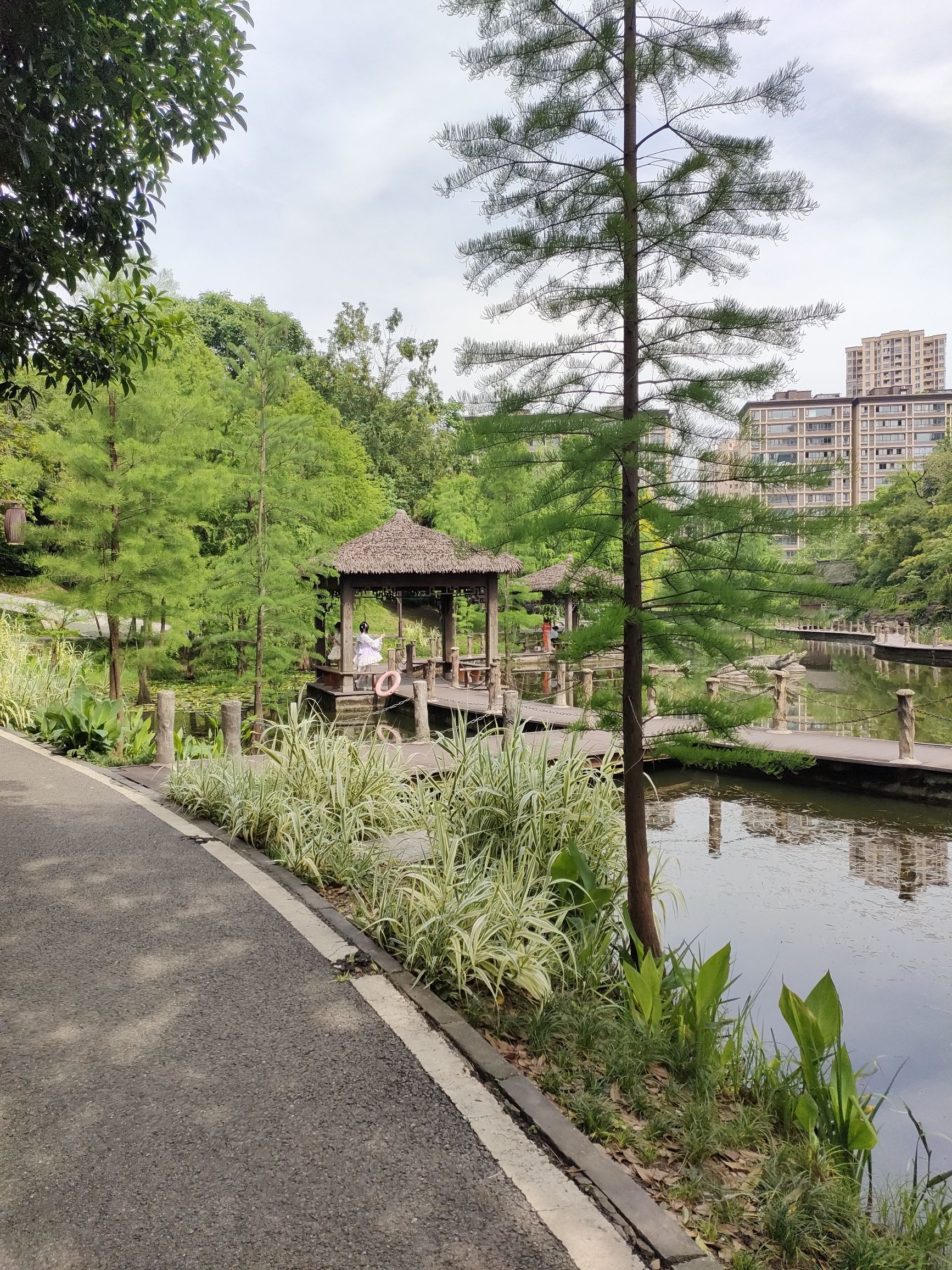 观音塘湿地公园旅行图片 3