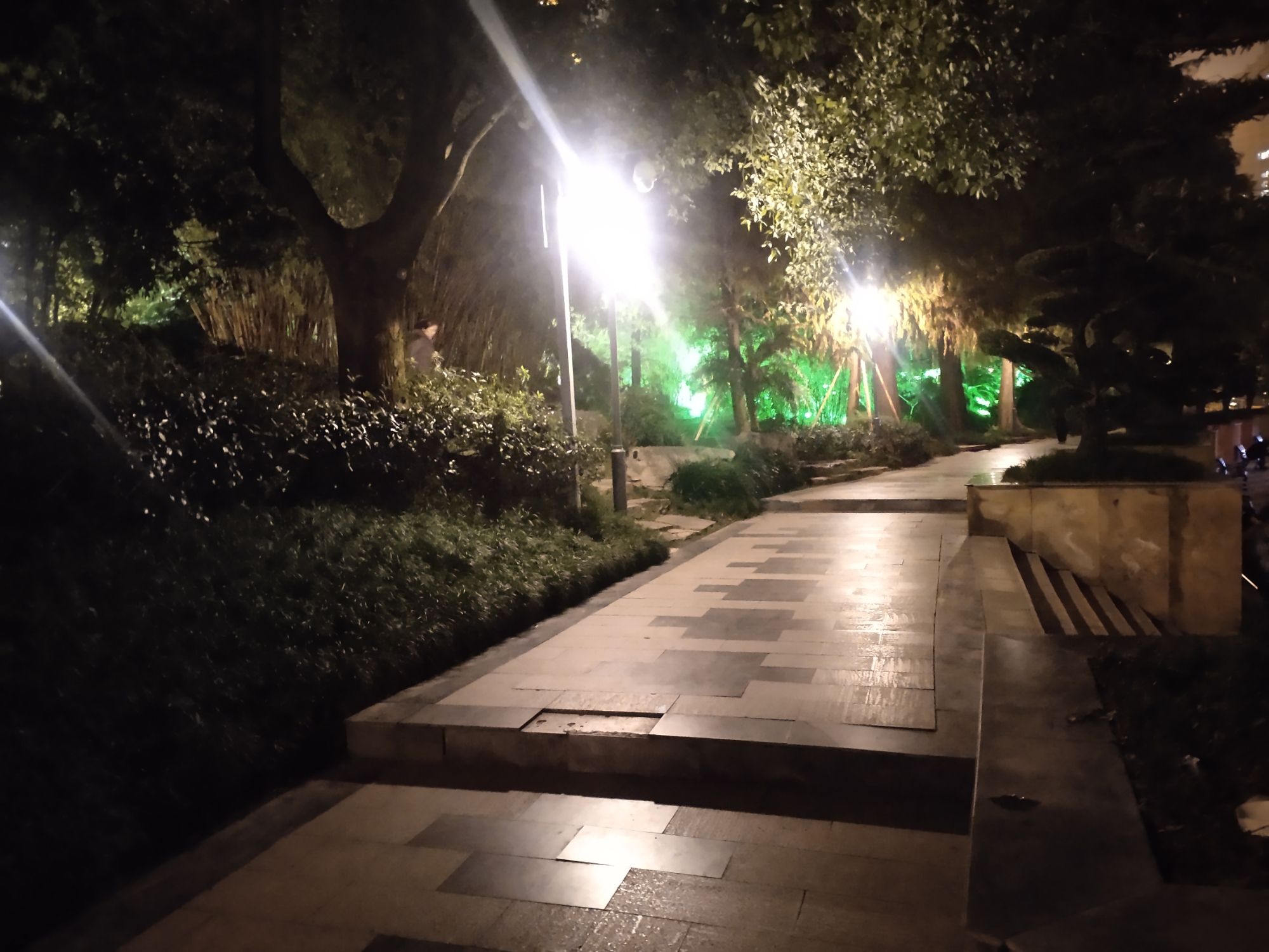 南河公园旅行图片 3