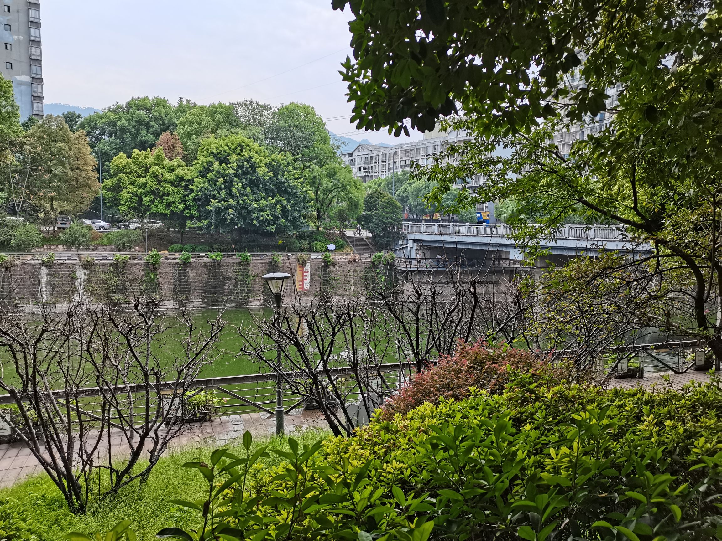 南河公园旅行图片 2