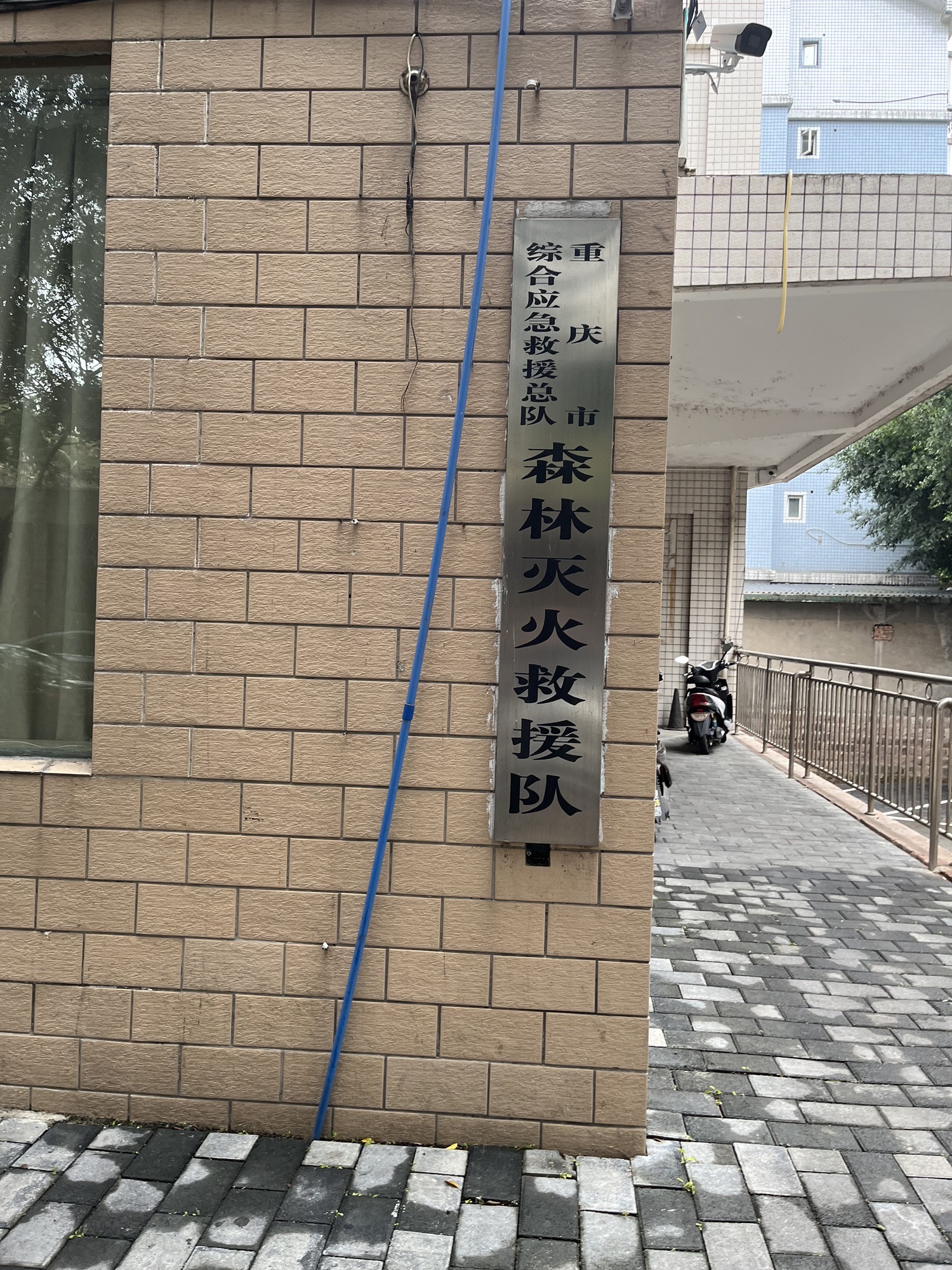 重庆市植物园(金华西二支路)旅行图片 1