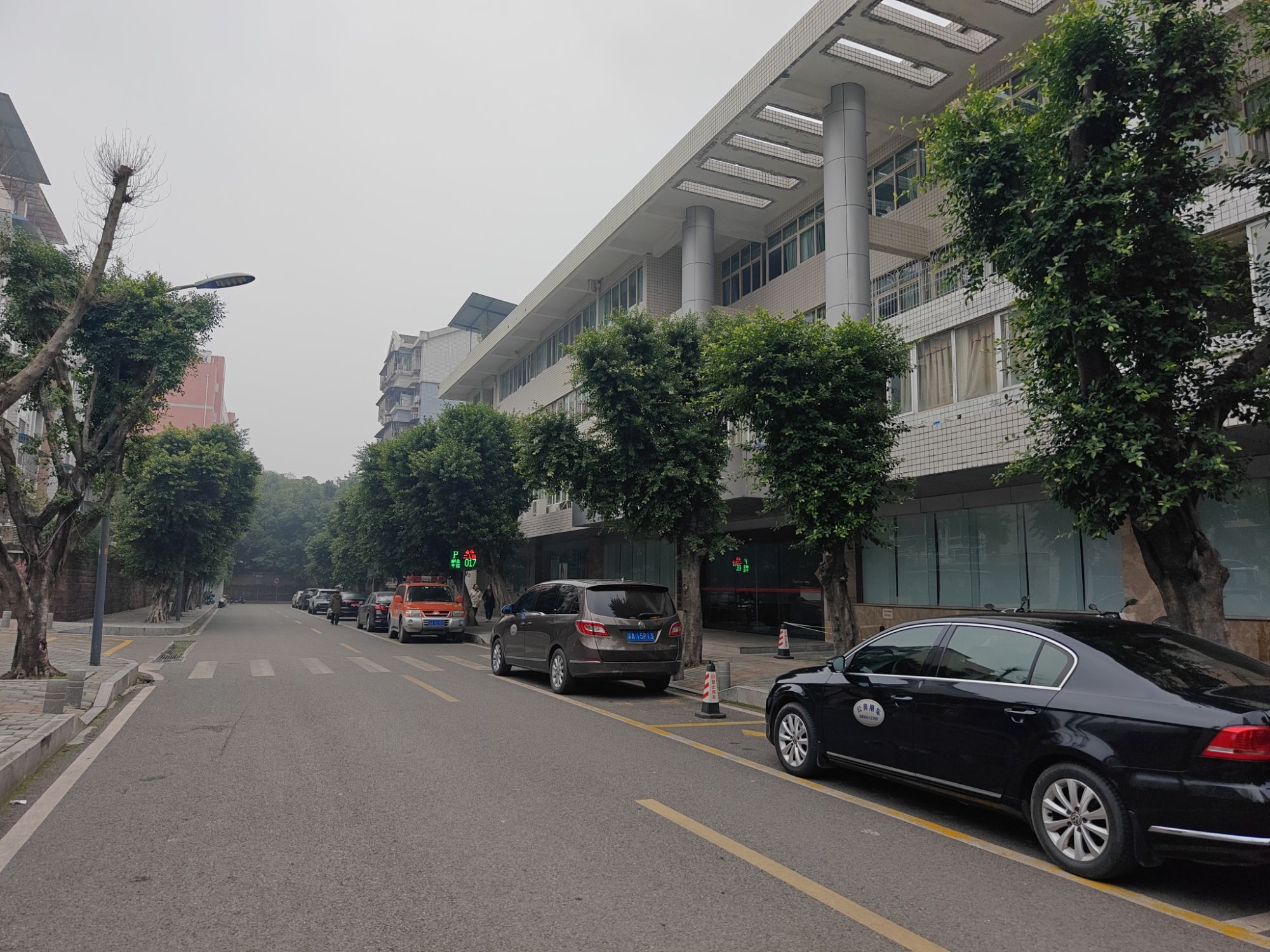重庆市植物园(金华西二支路)旅行图片 2
