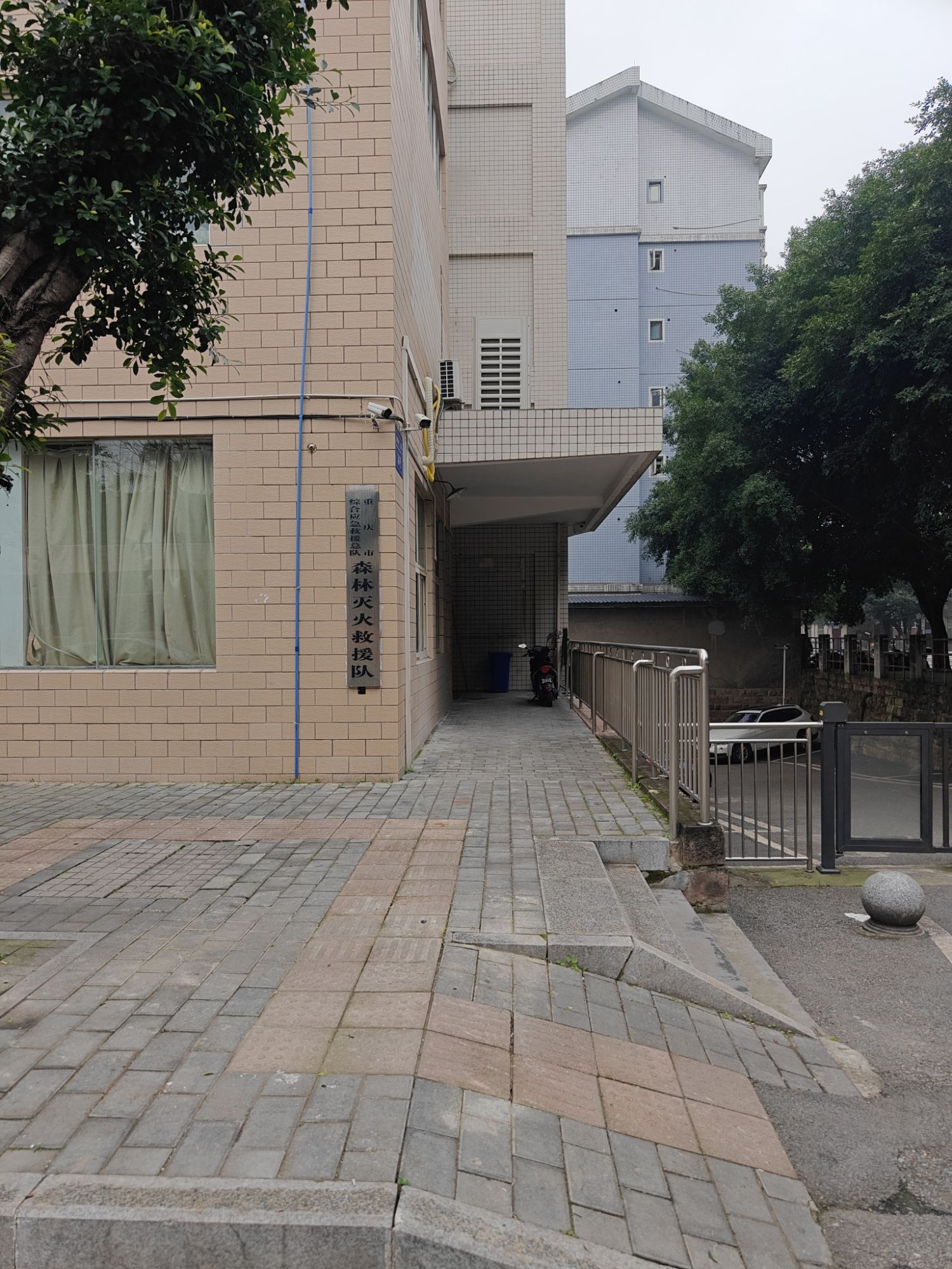 重庆市植物园(金华西二支路)旅行图片 3
