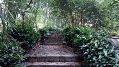 雨台山公园旅行图片 2