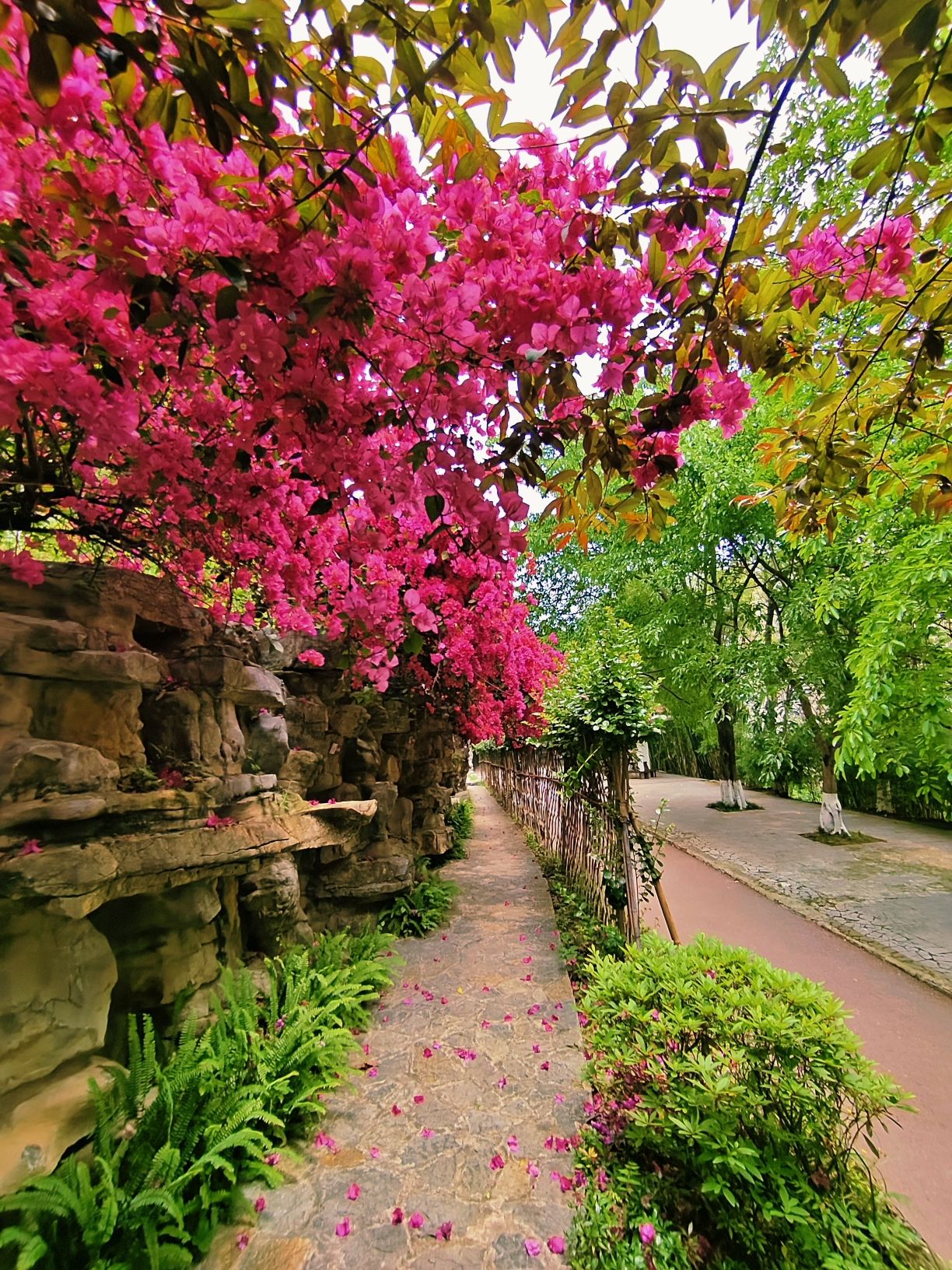 雨台山公园旅行图片 2