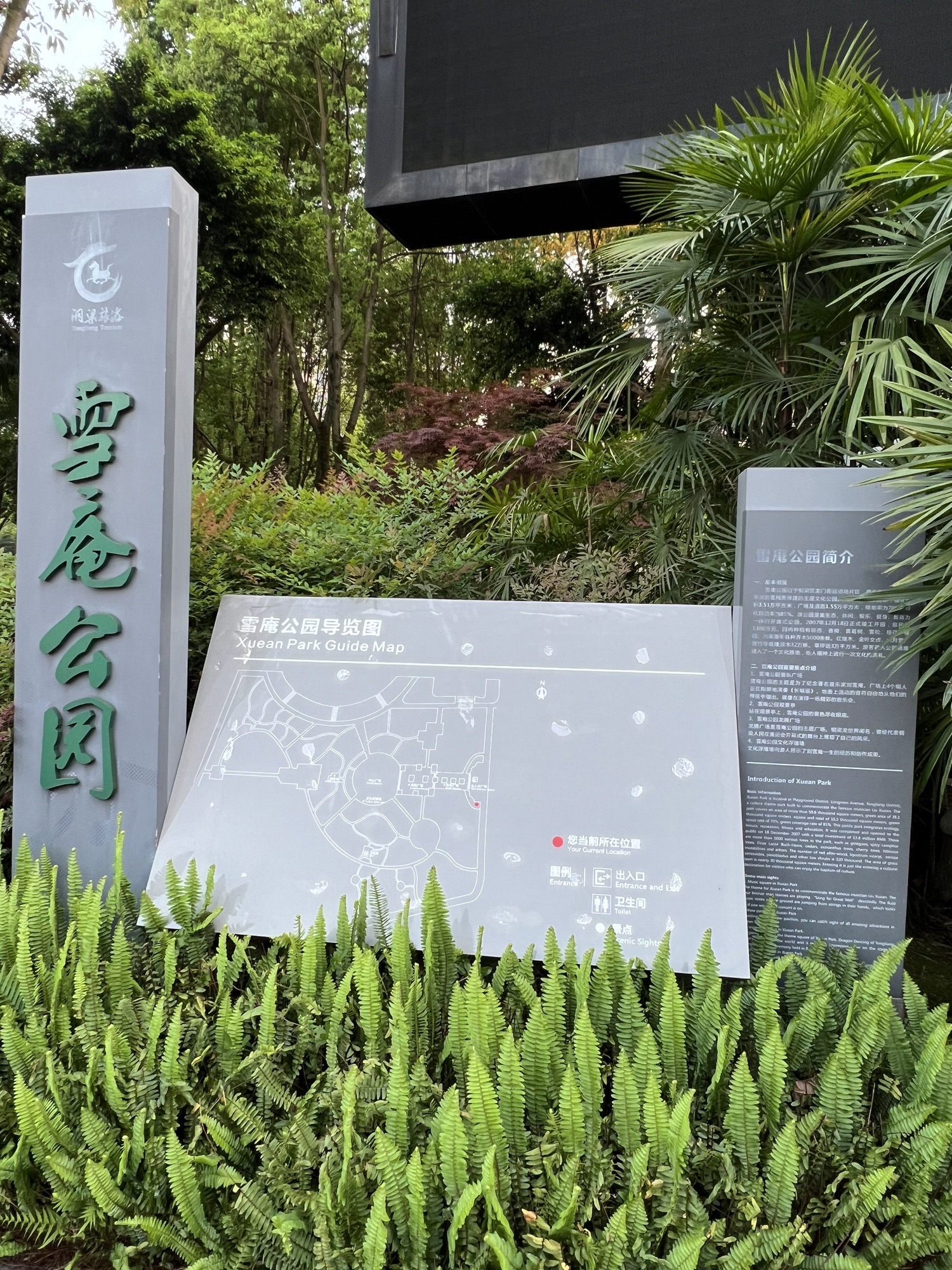 雪庵公园旅行图片 2