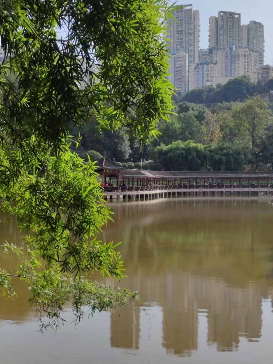 龙头寺公园旅行图片 2