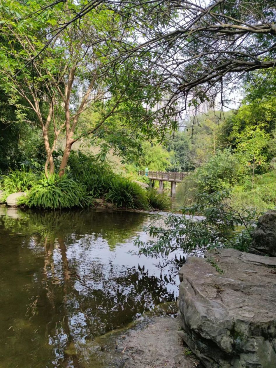 龙头寺公园旅行图片 3