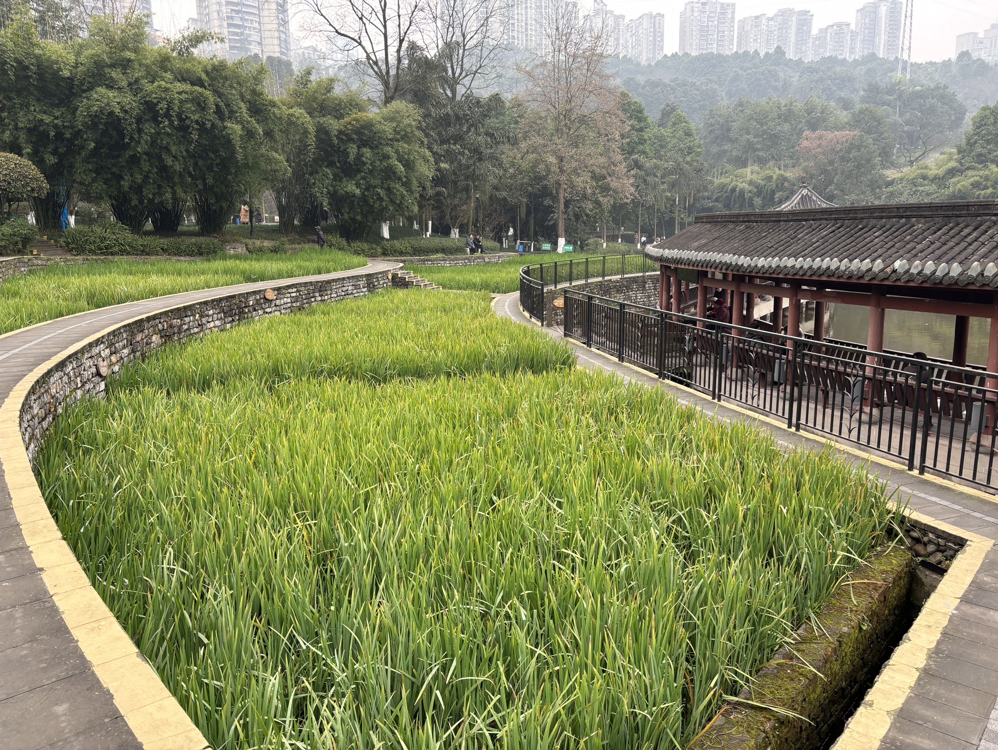龙头寺公园旅行图片 3
