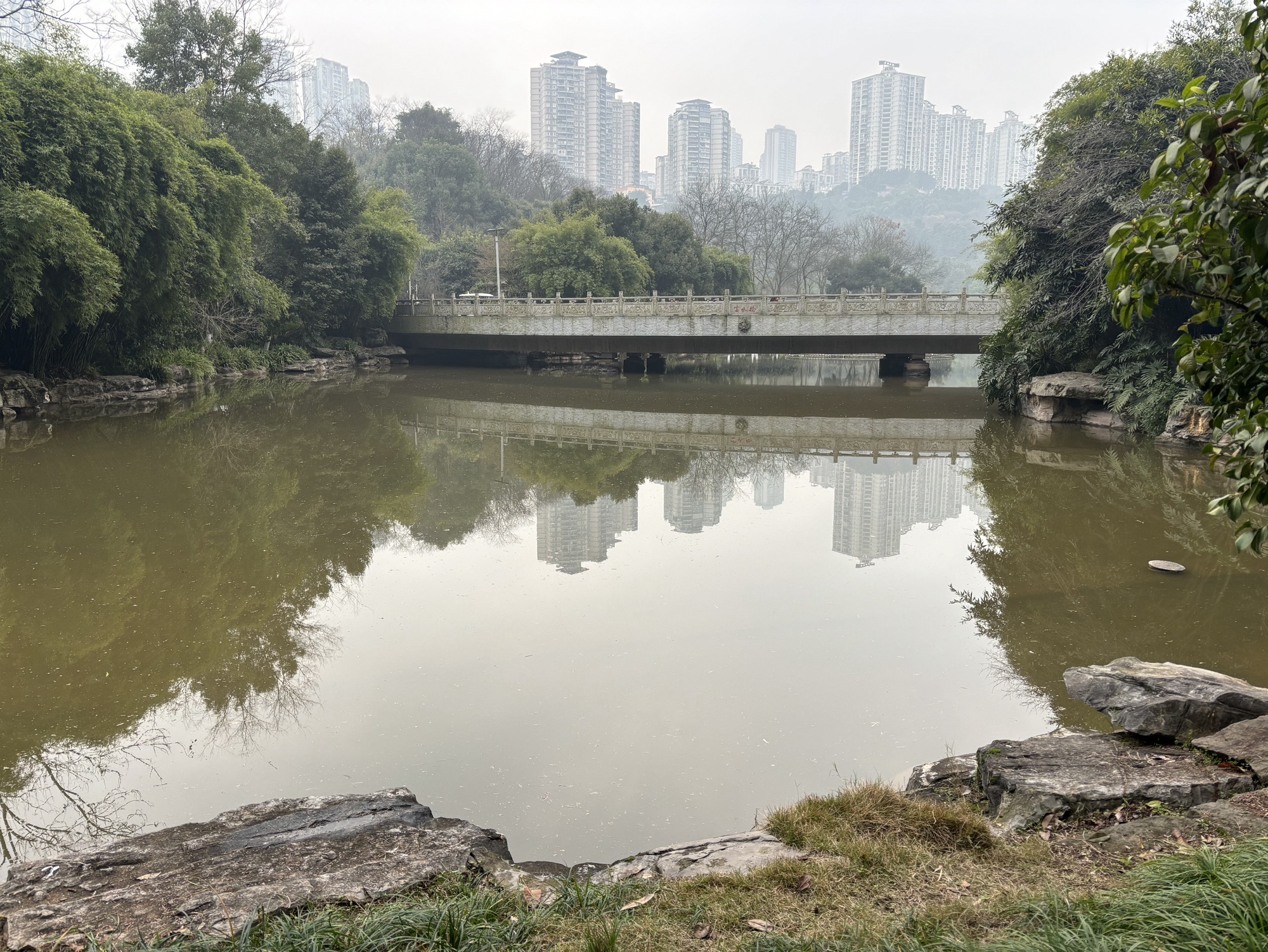 龙头寺公园旅行图片 2