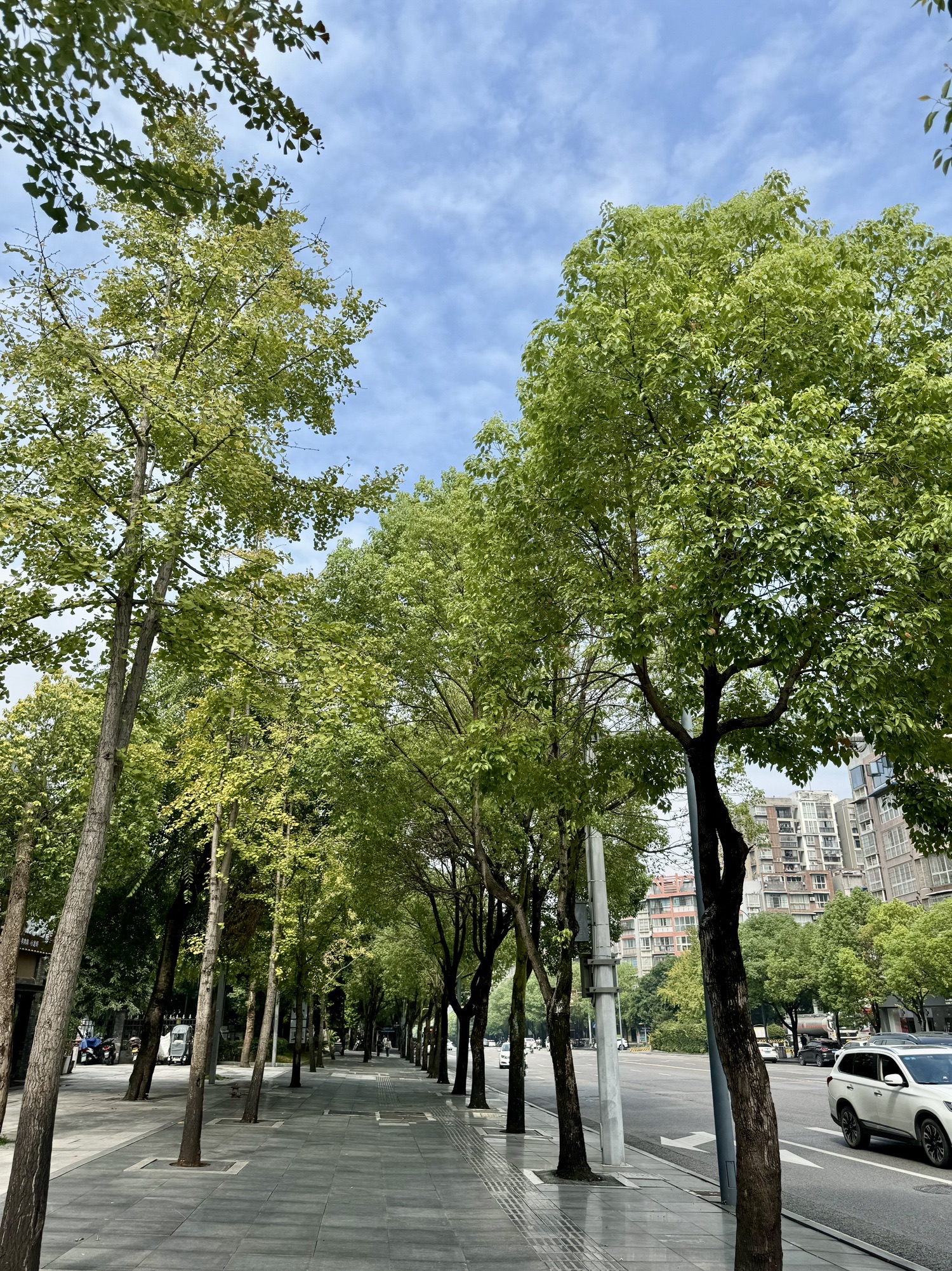 电视塔公园旅行图片 2