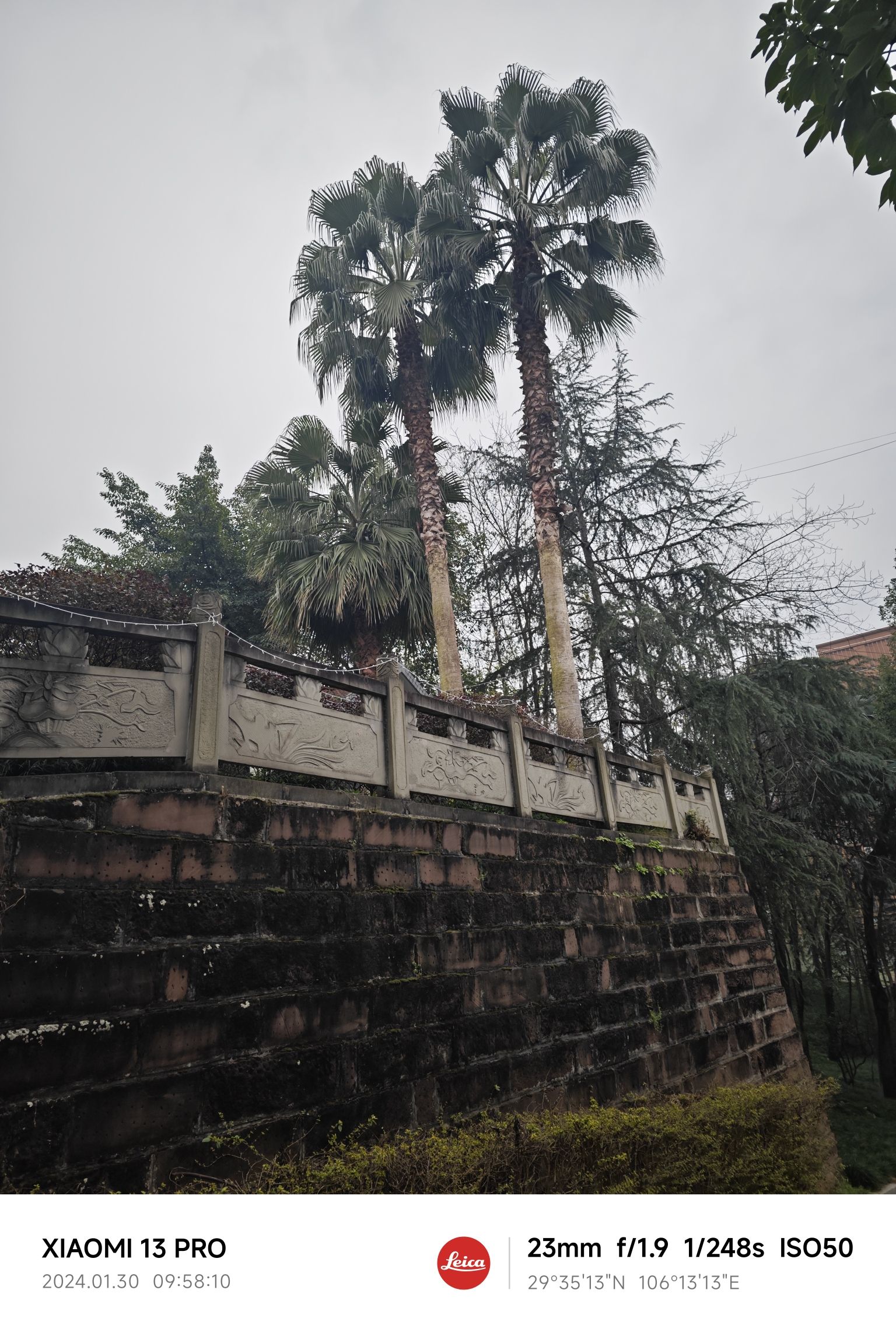 电视塔公园旅行图片 2
