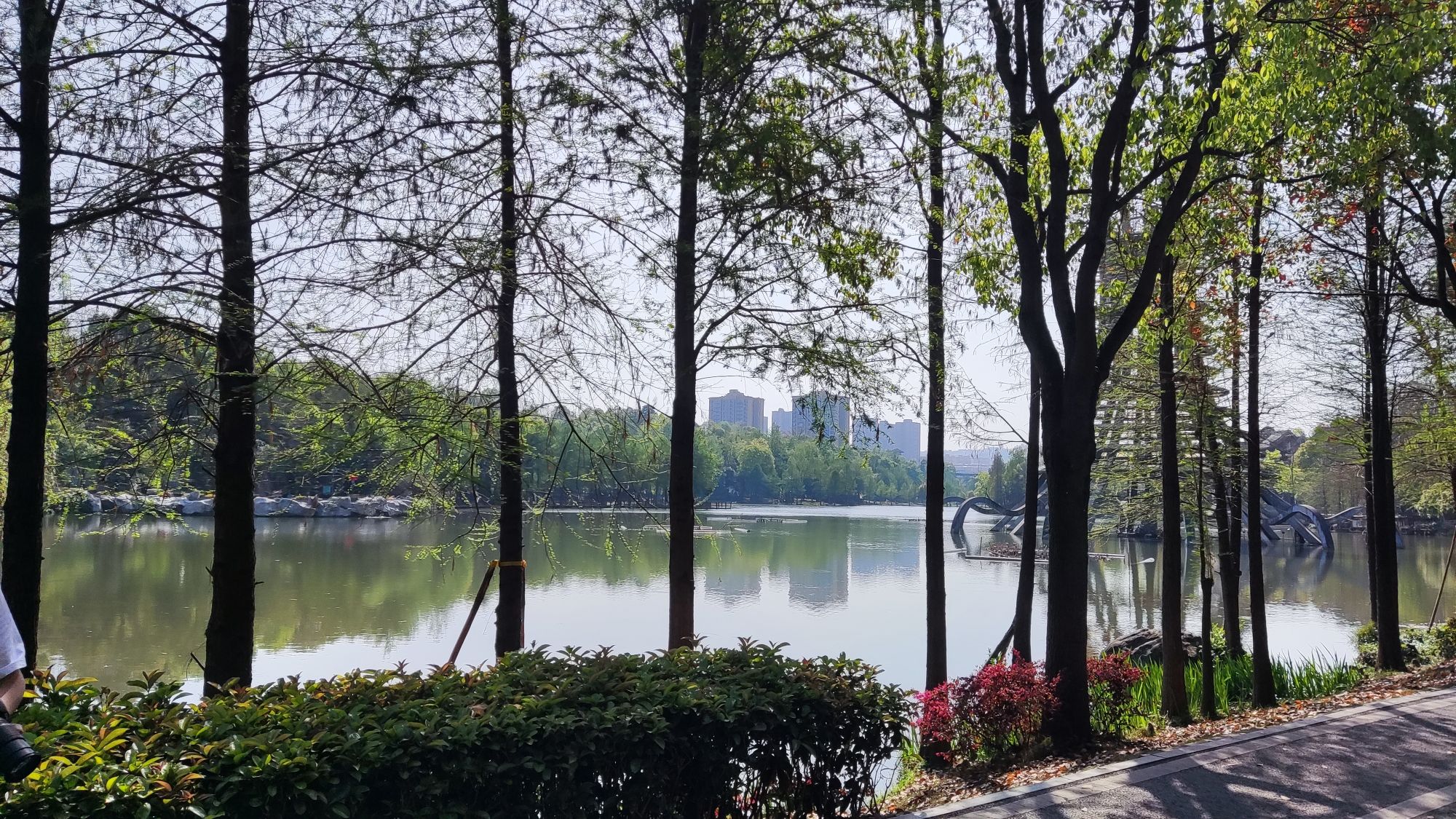 电视塔公园旅行图片 3