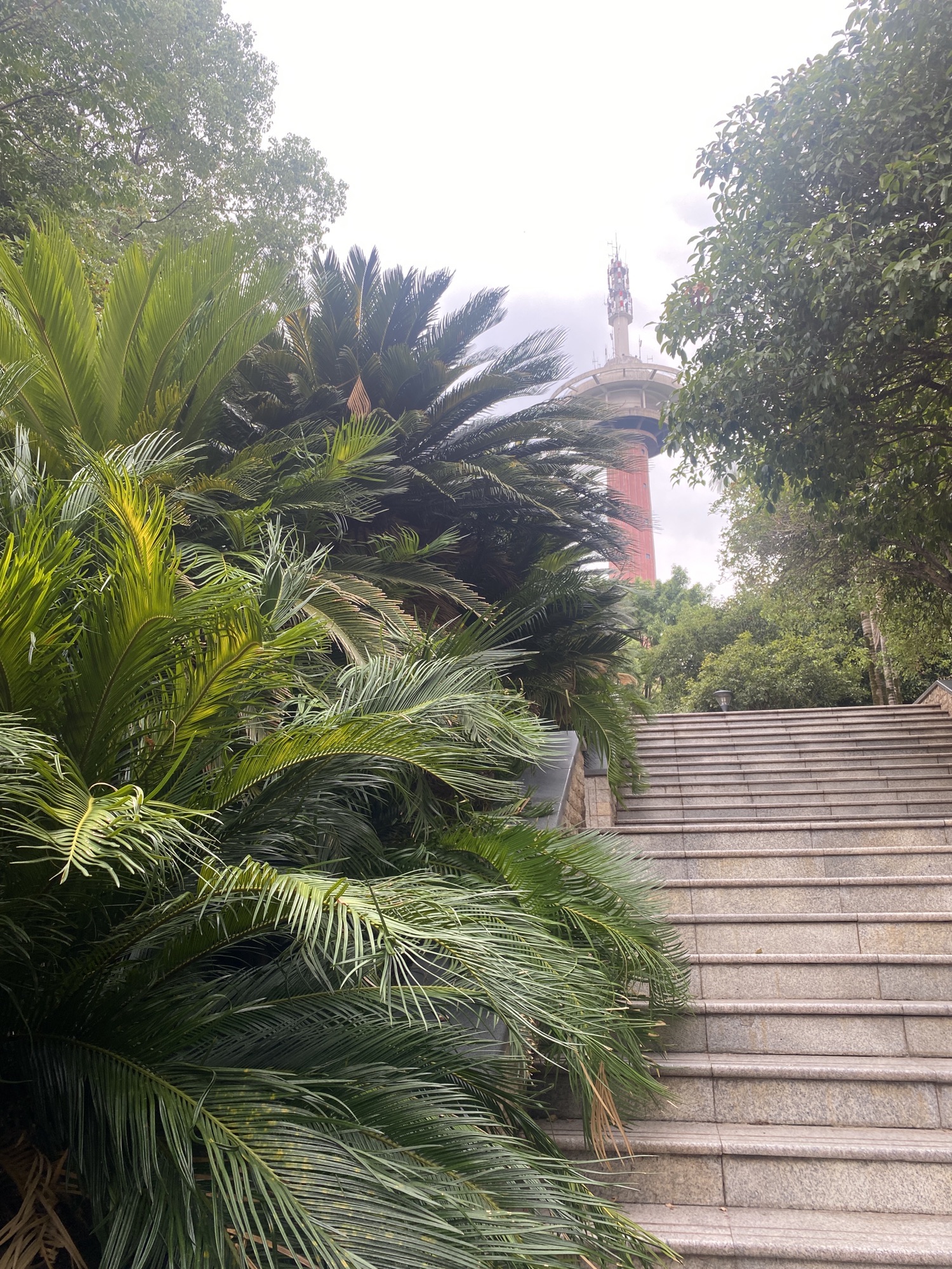 电视塔公园旅行图片 1