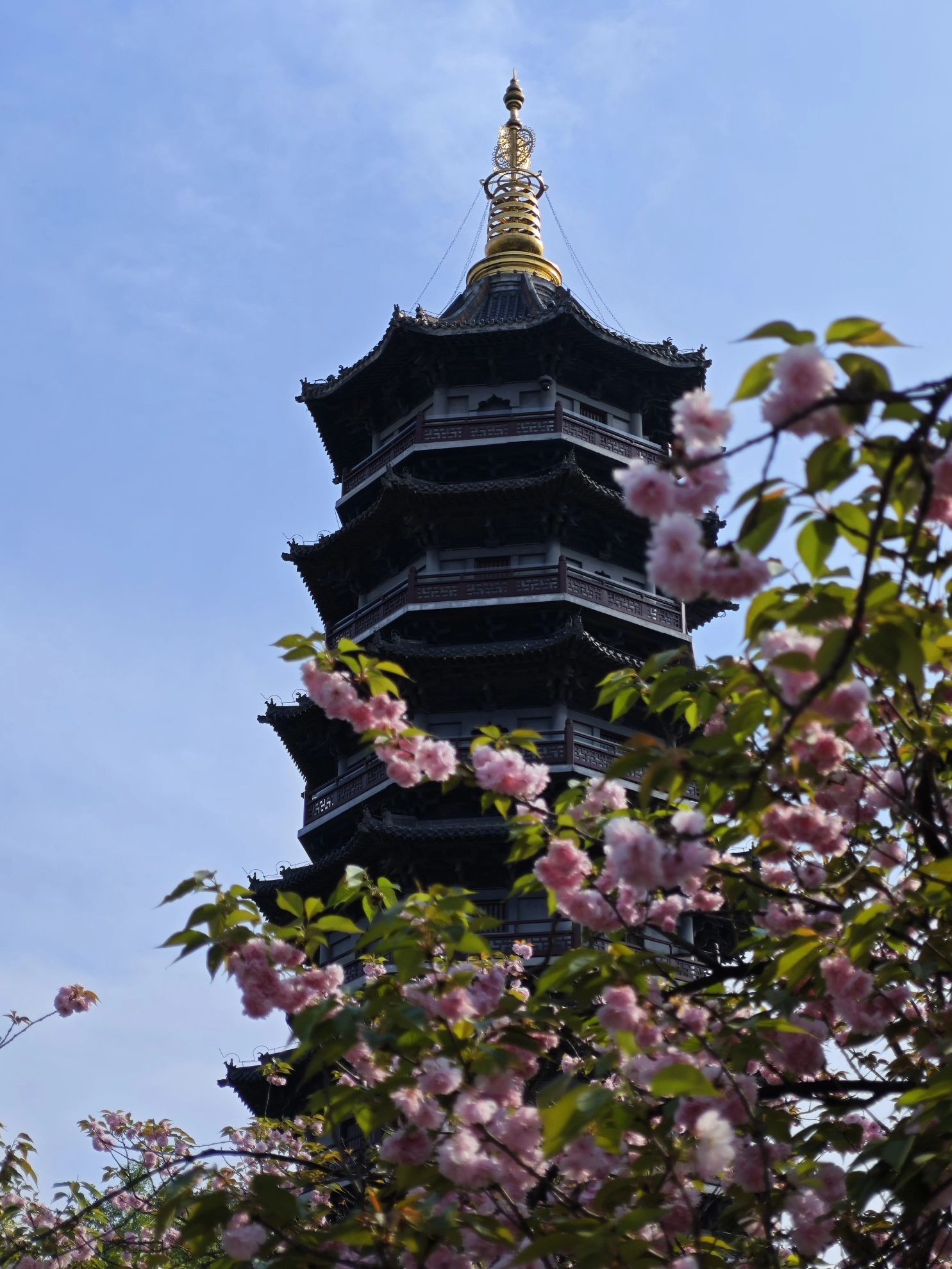 重庆园博园旅行图片 3