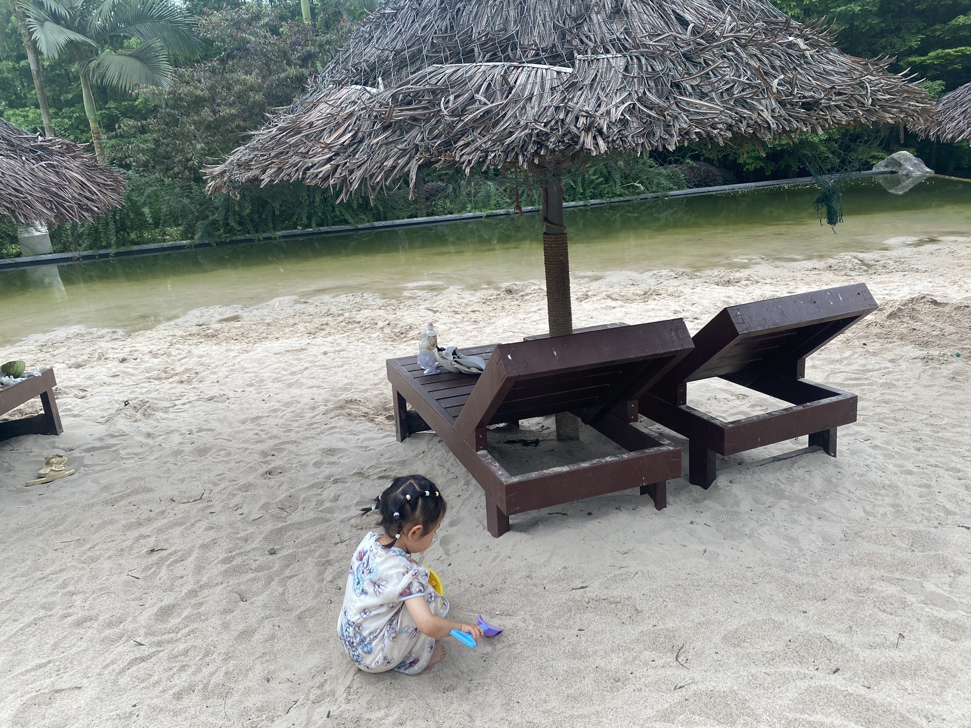 重庆园博园旅行图片 1
