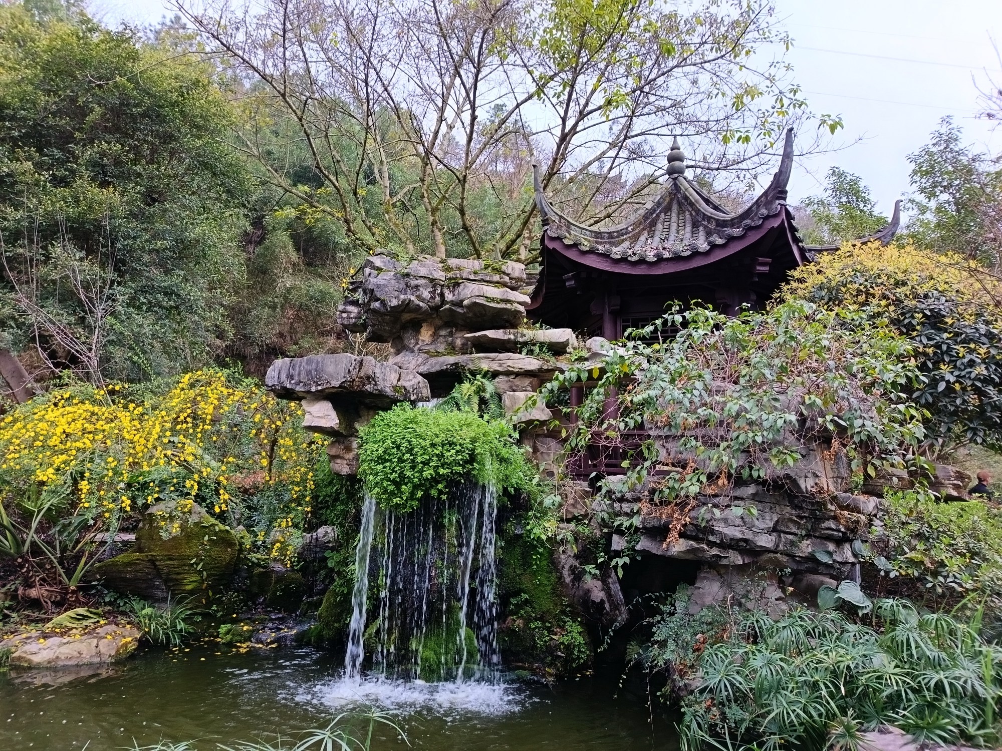 重庆园博园旅行图片 2
