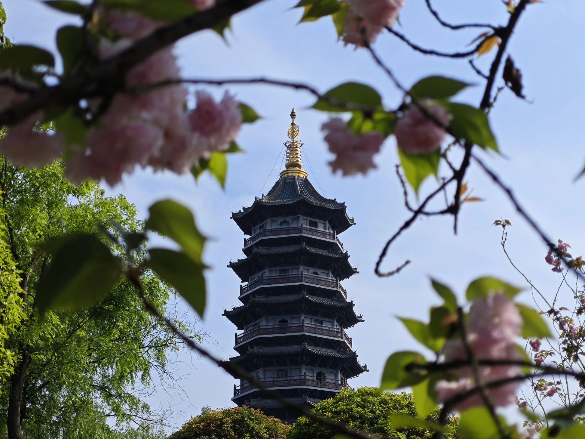 重庆园博园旅行图片 1