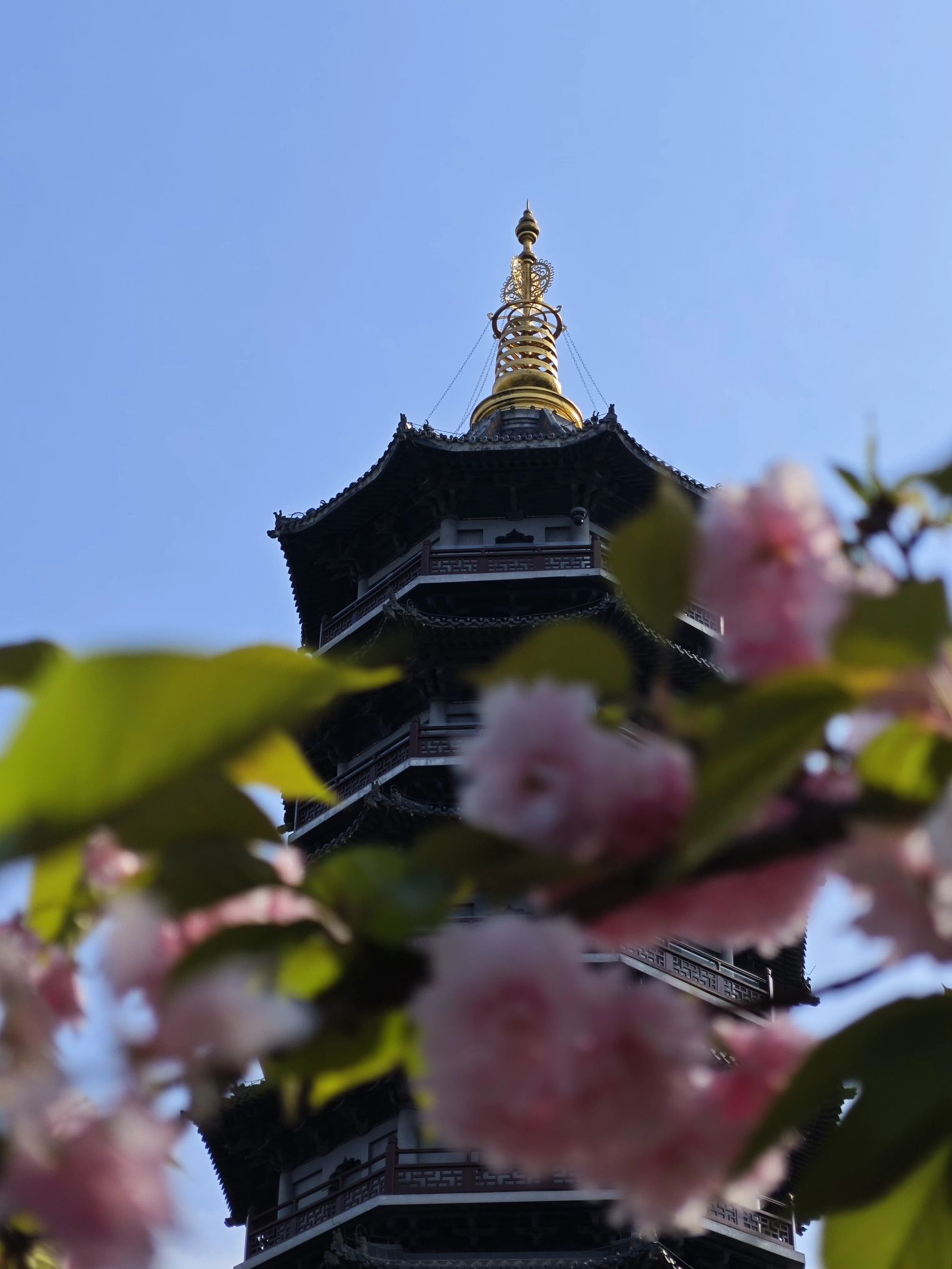 重庆园博园旅行图片 2
