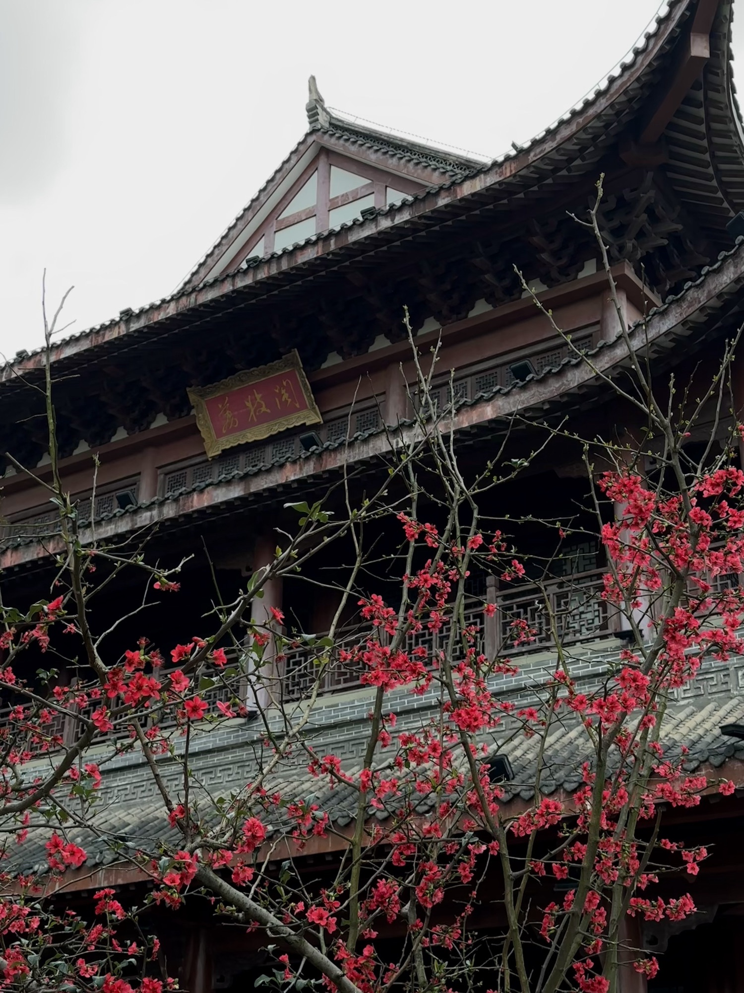文峰塔公园旅行图片 3