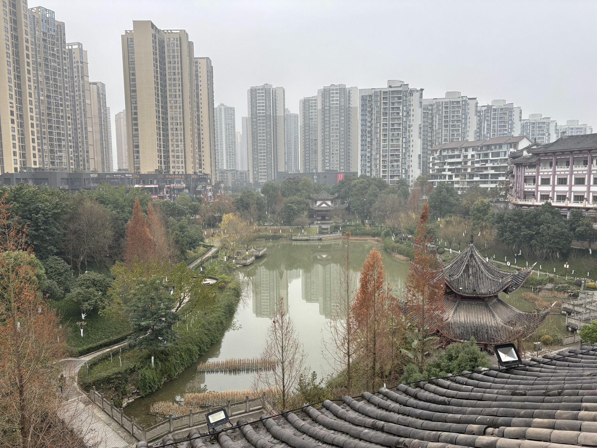 文峰塔公园旅行图片 3