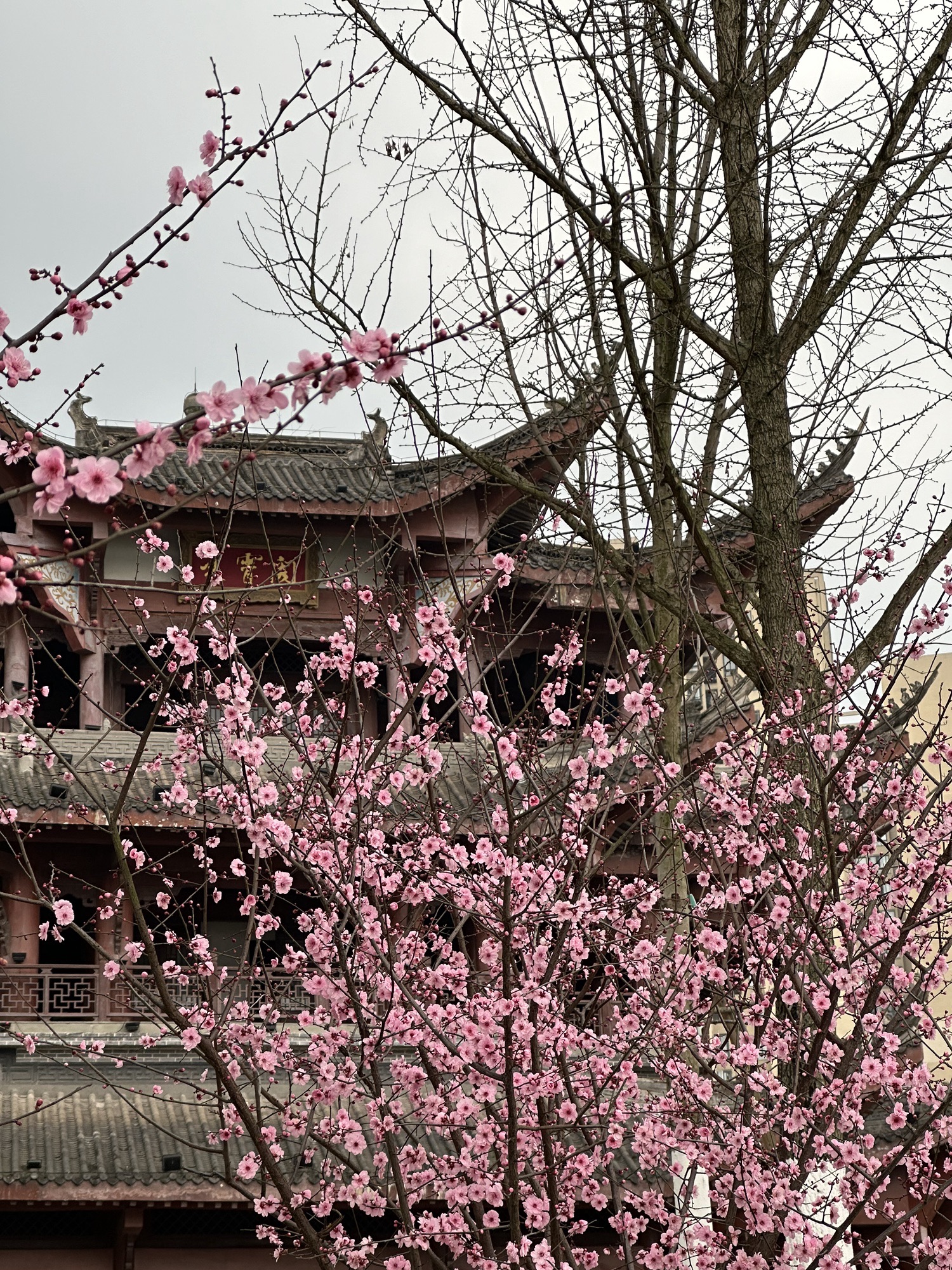 文峰塔公园旅行图片 1