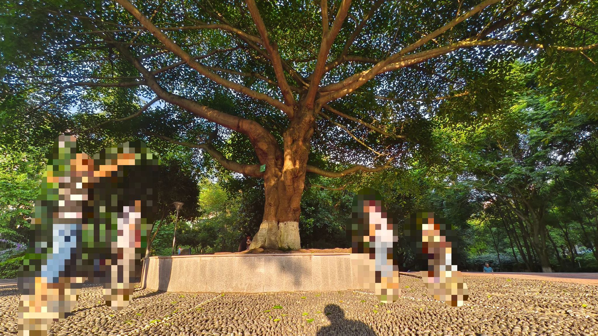 忠州公园旅行图片 3
