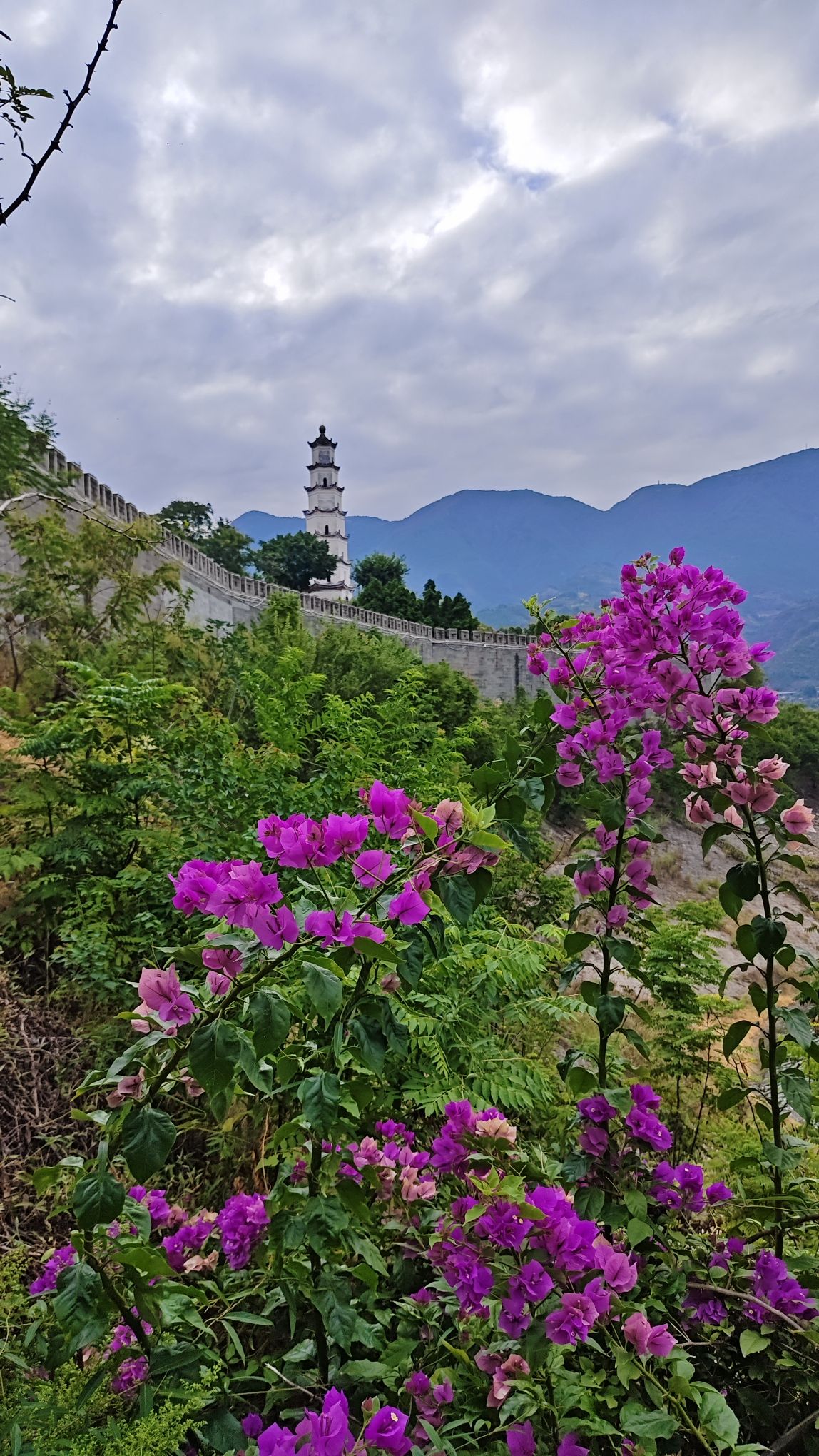 夔州古城旅行图片 2