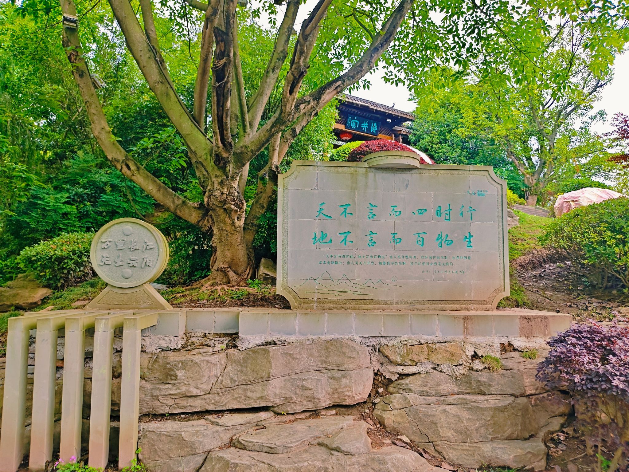双井寨旅行图片 1